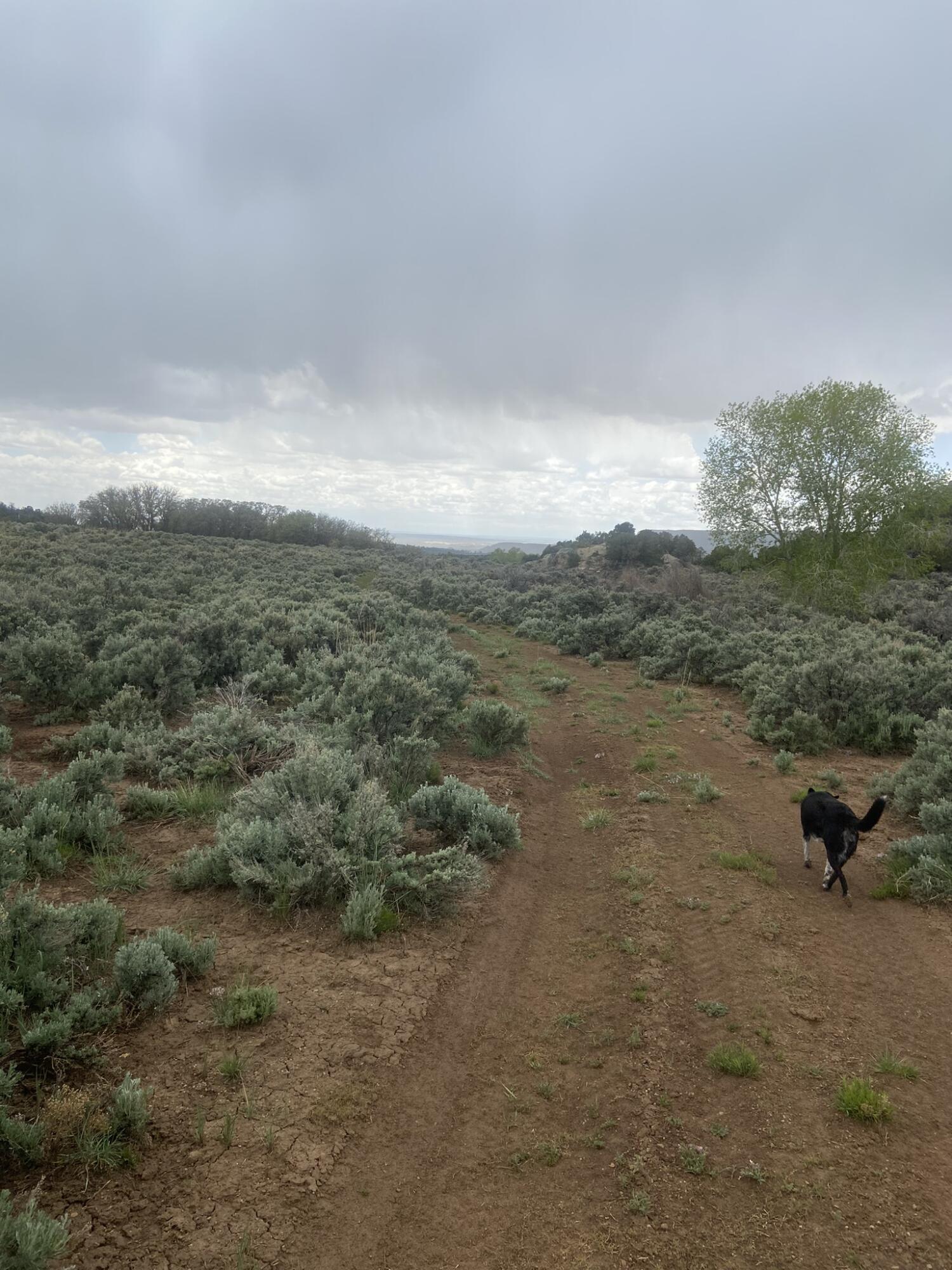 28 Arroyo Hondo Road