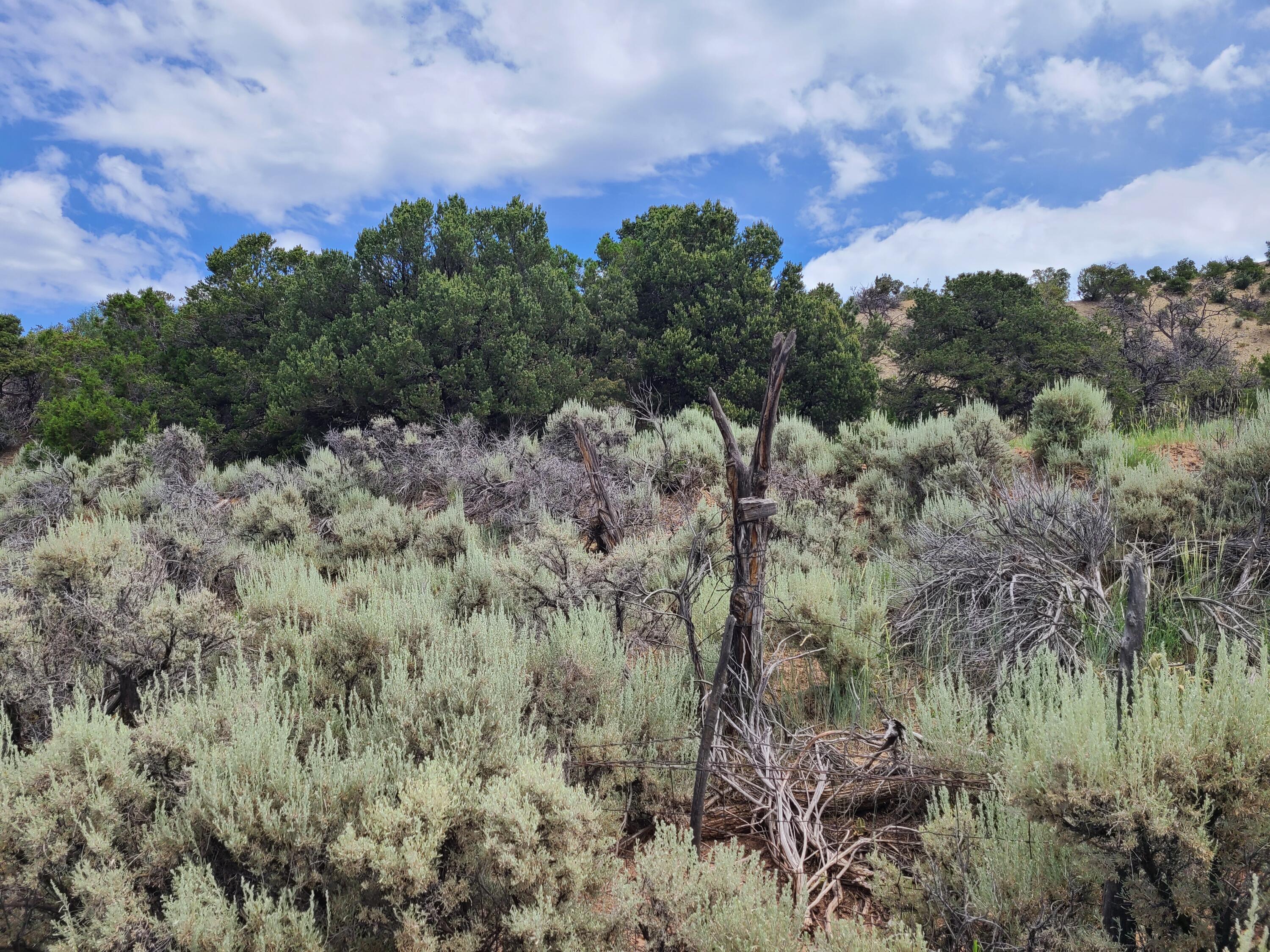 28 Arroyo Hondo Road