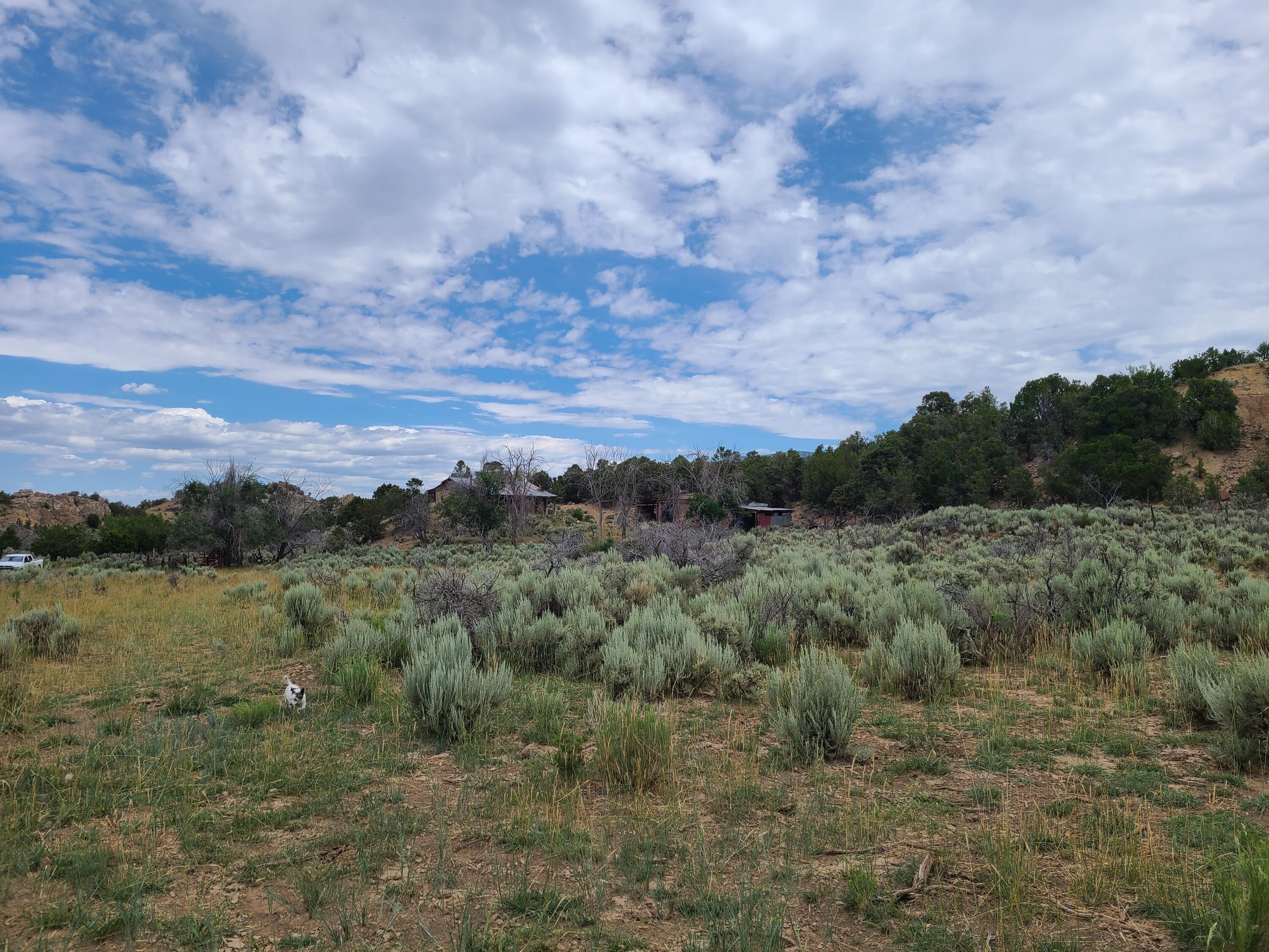 28 Arroyo Hondo Road
