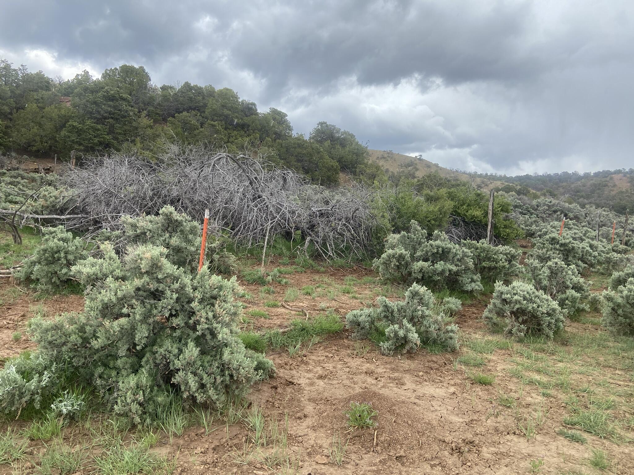 28 Arroyo Hondo Road