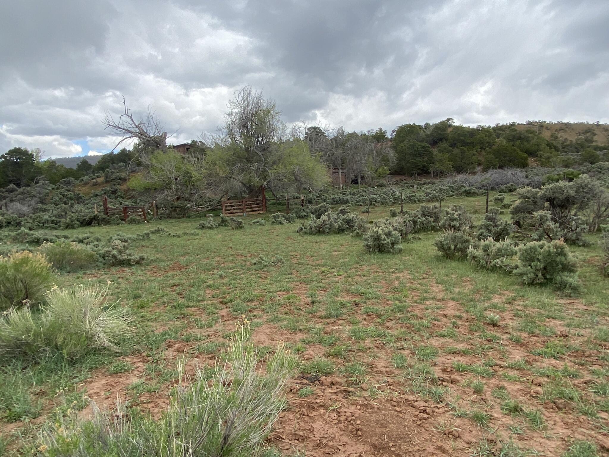 28 Arroyo Hondo Road