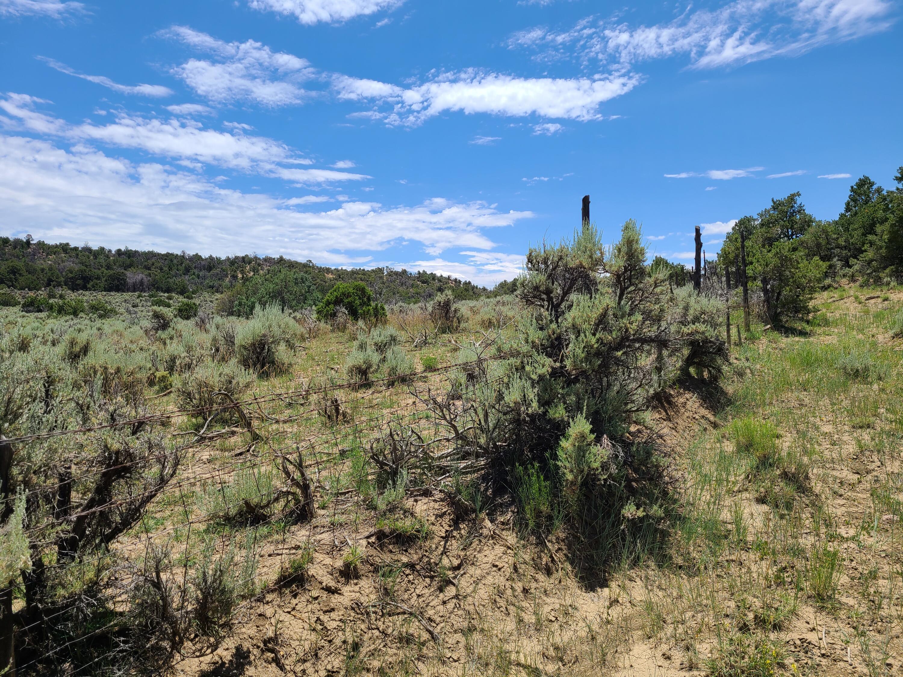 28 Arroyo Hondo Road