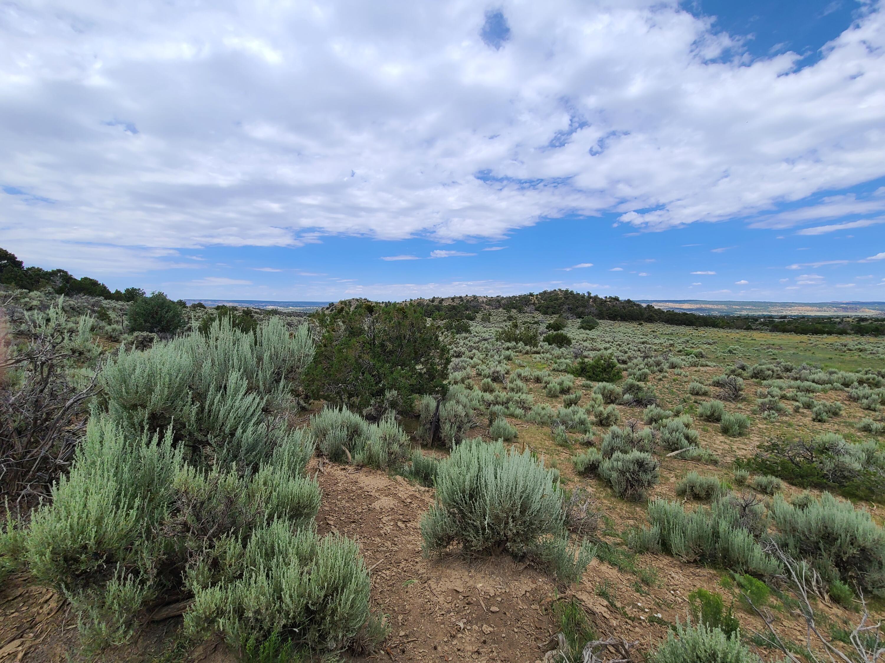 28 Arroyo Hondo Road