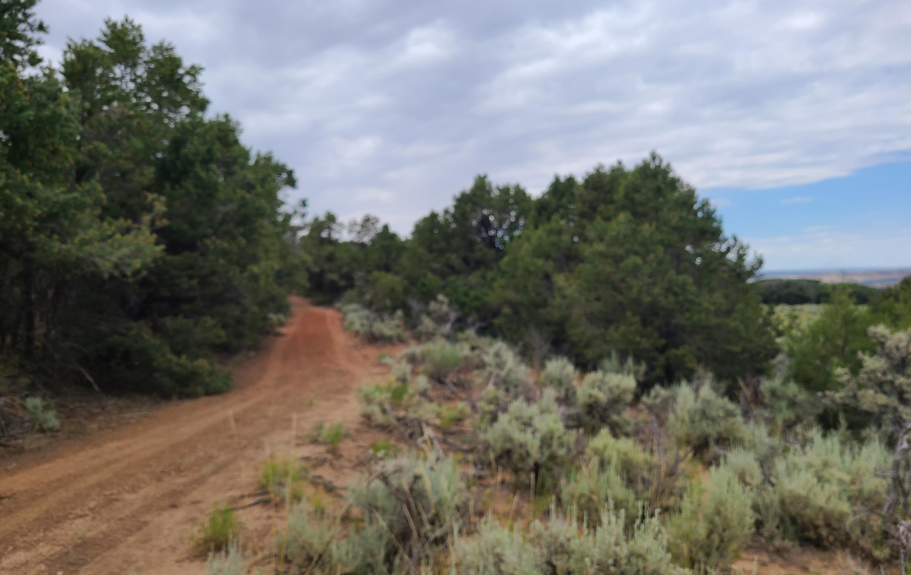 28 Arroyo Hondo Road