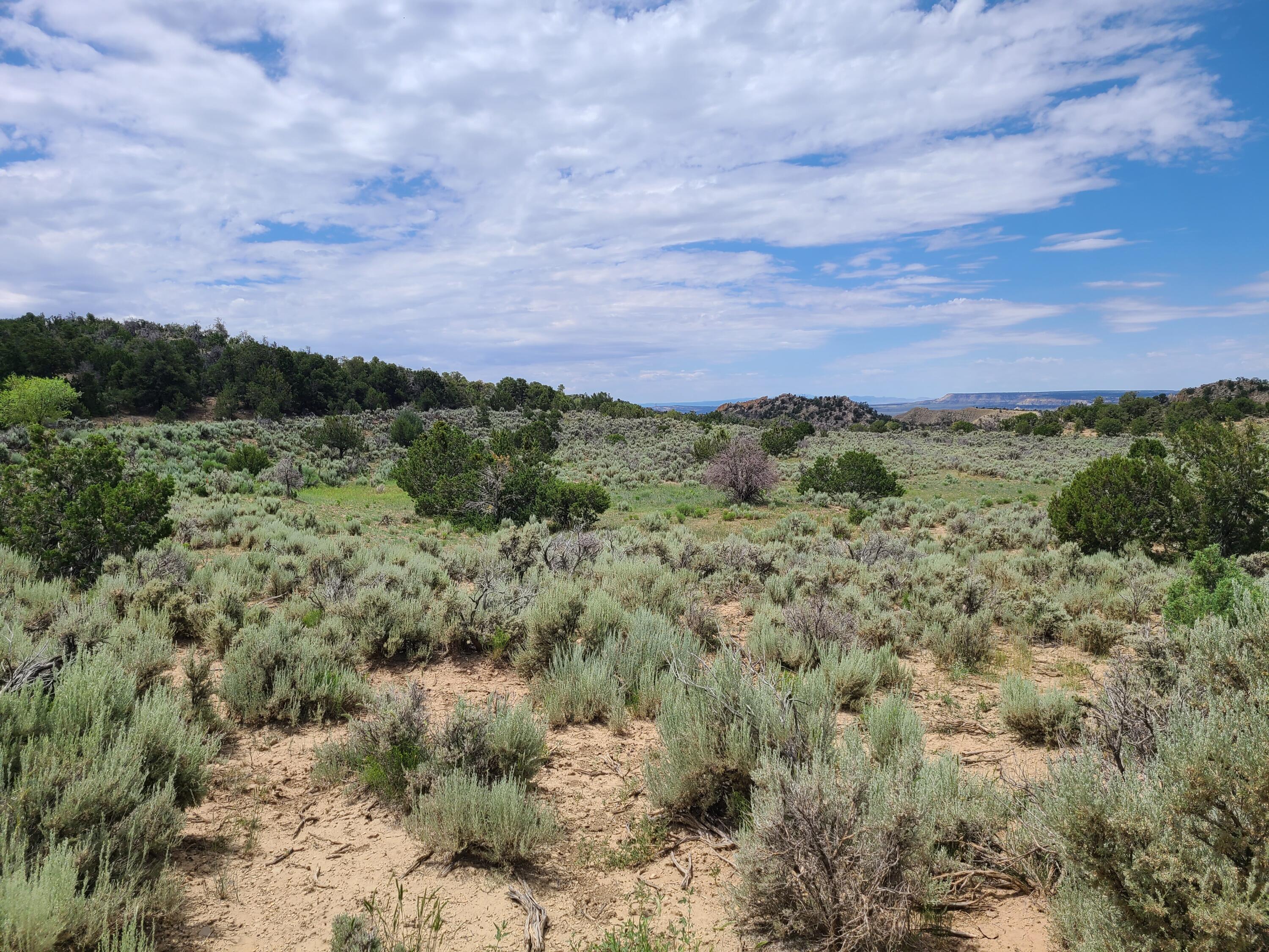 28 Arroyo Hondo Road