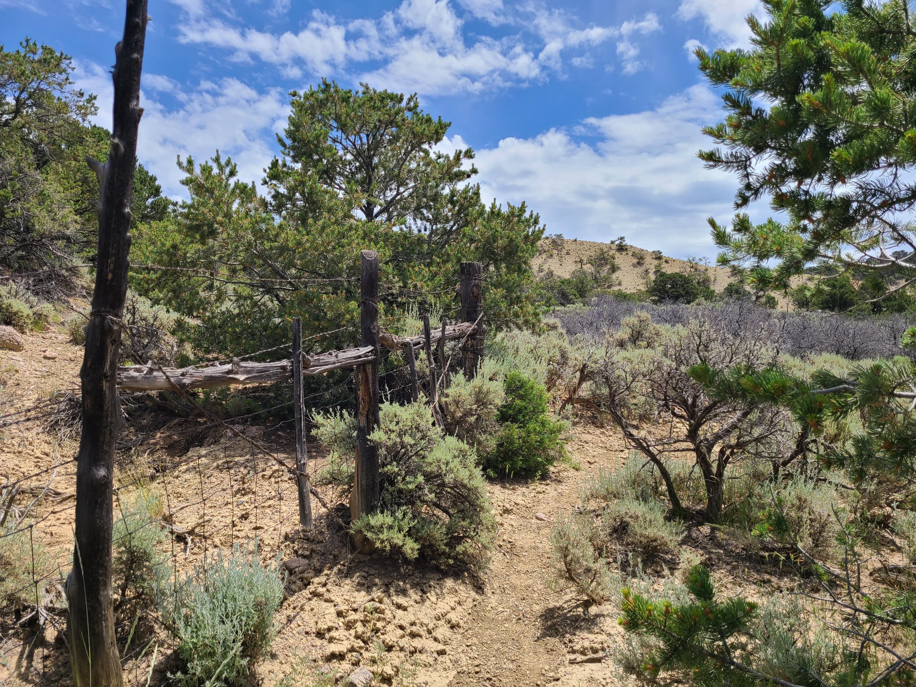 28 Arroyo Hondo Road