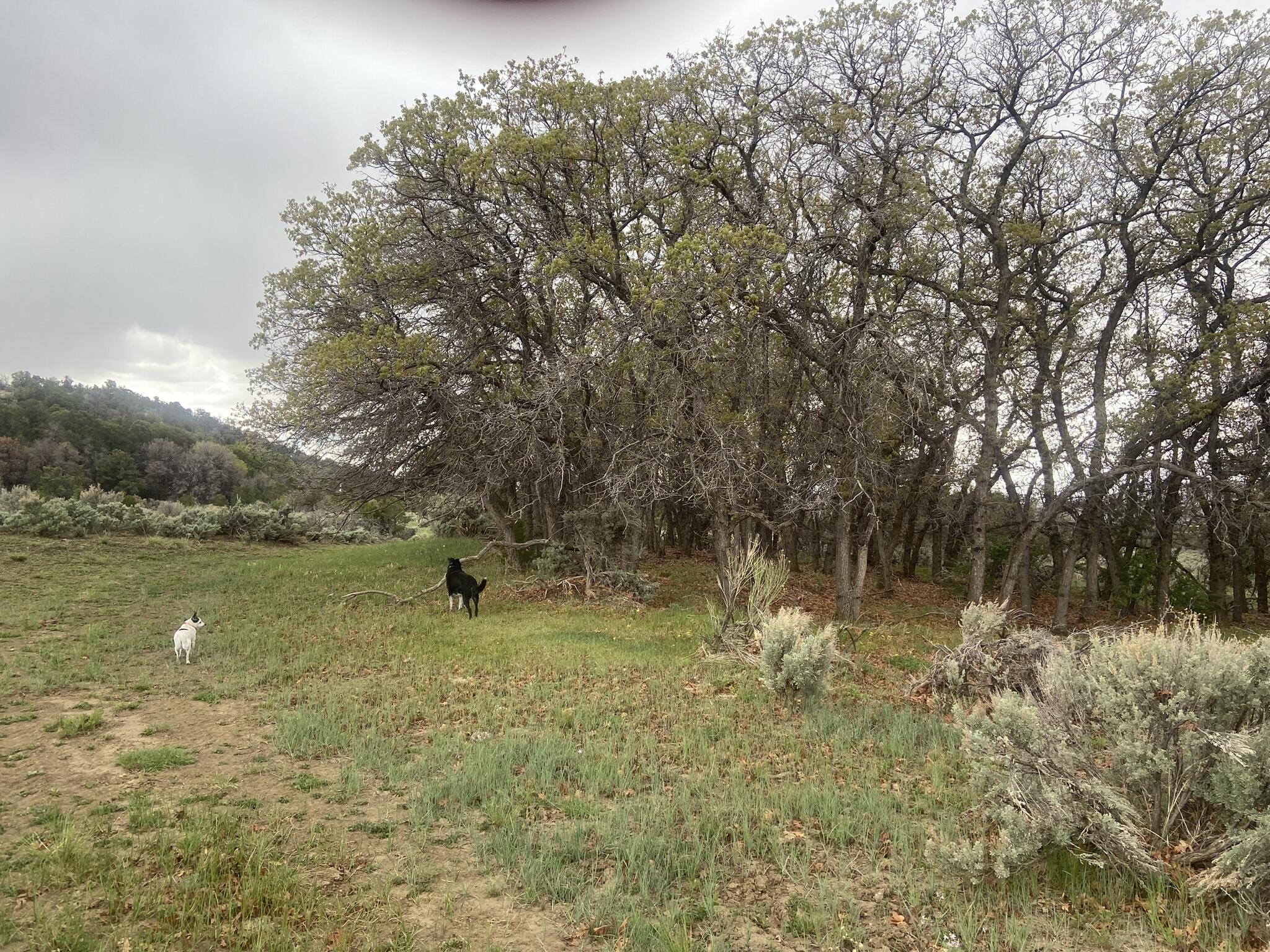 28 Arroyo Hondo Road