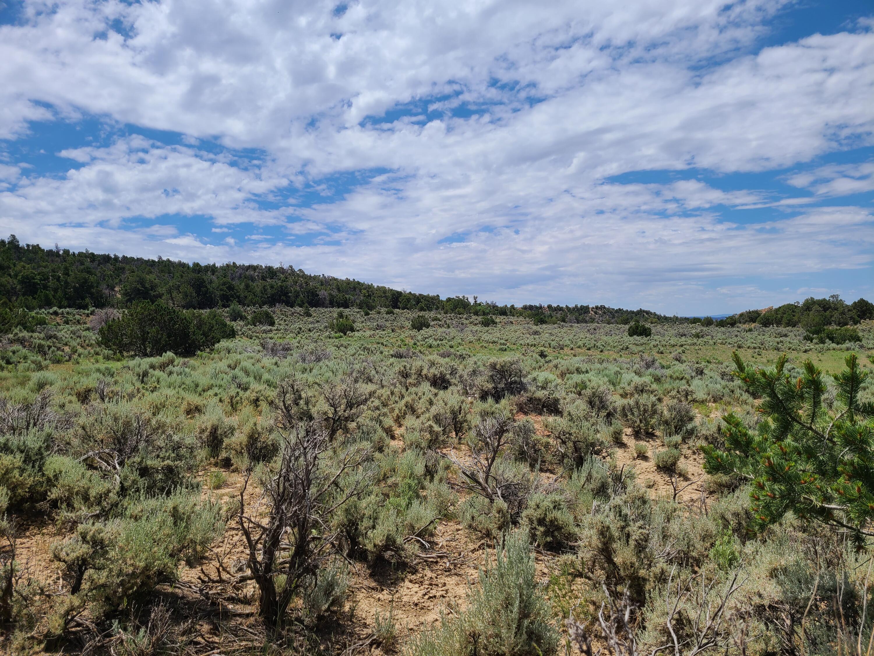 28 Arroyo Hondo Road