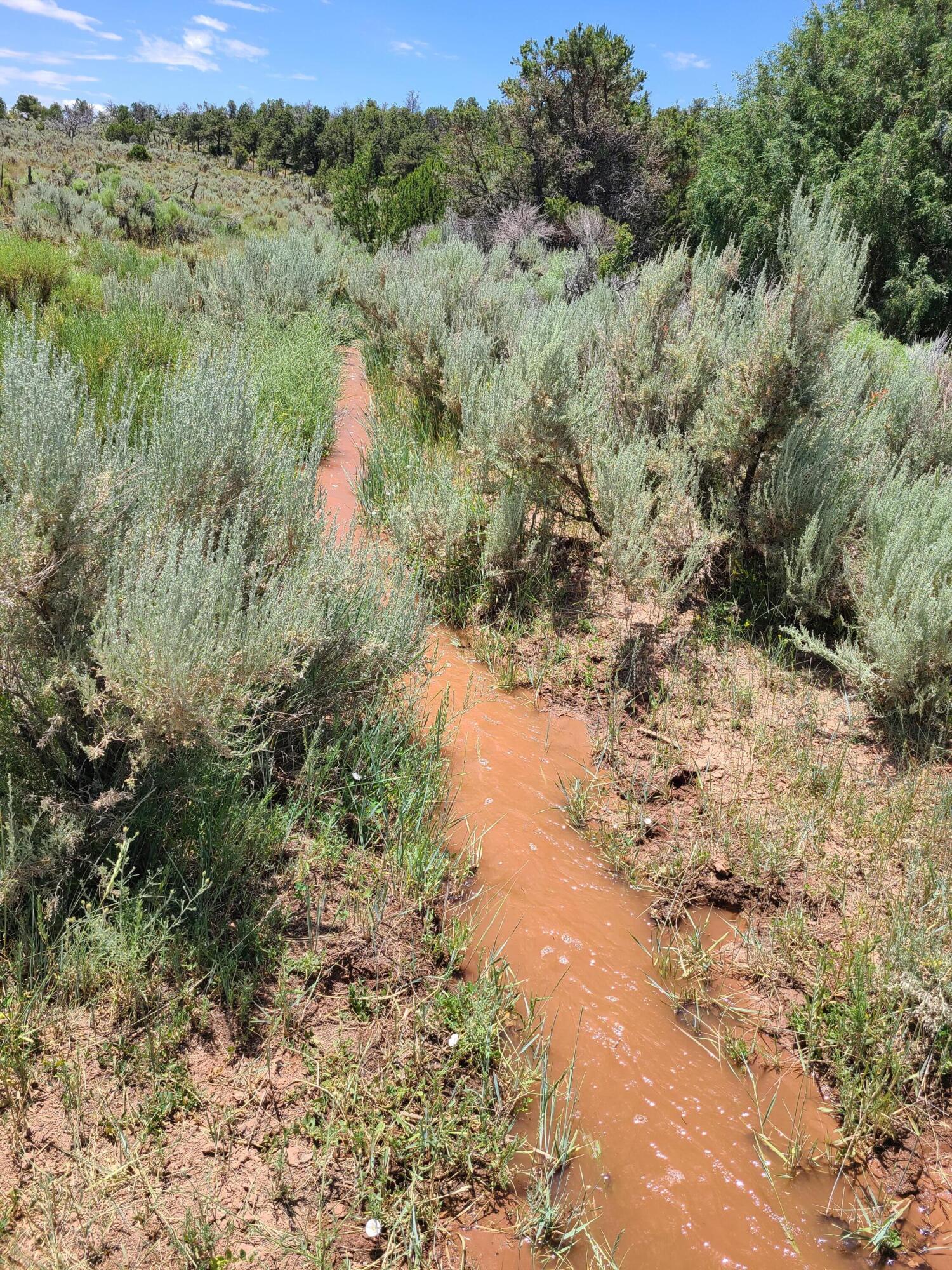 28 Arroyo Hondo Road