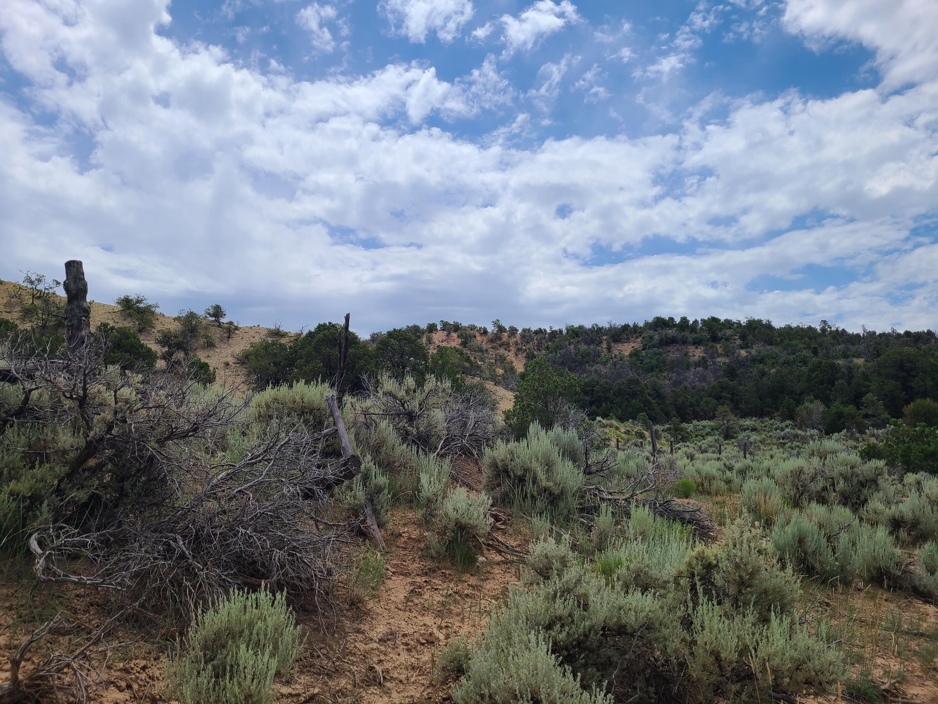 28 Arroyo Hondo Road