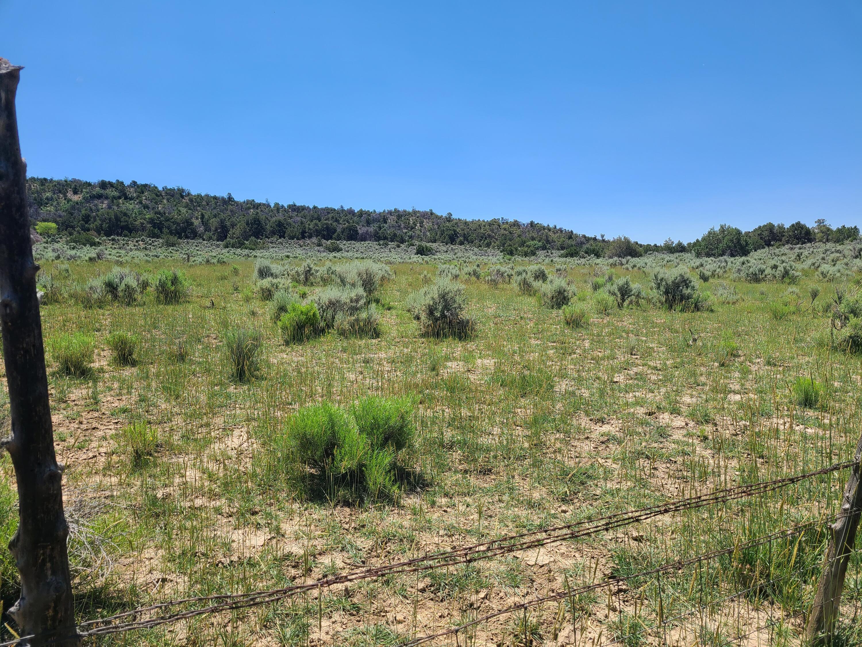 28 Arroyo Hondo Road