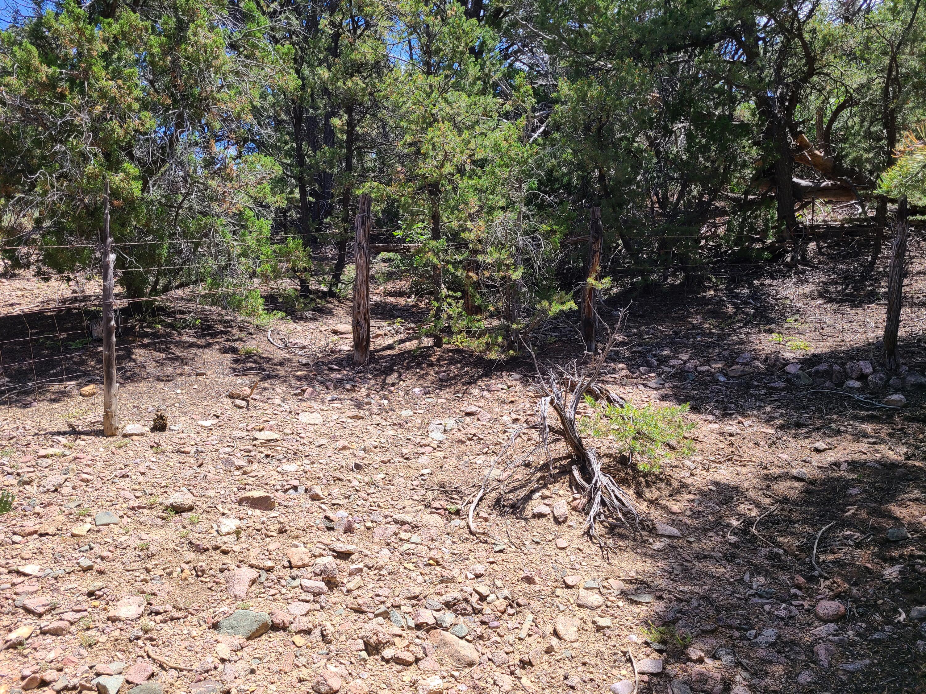 28 Arroyo Hondo Road