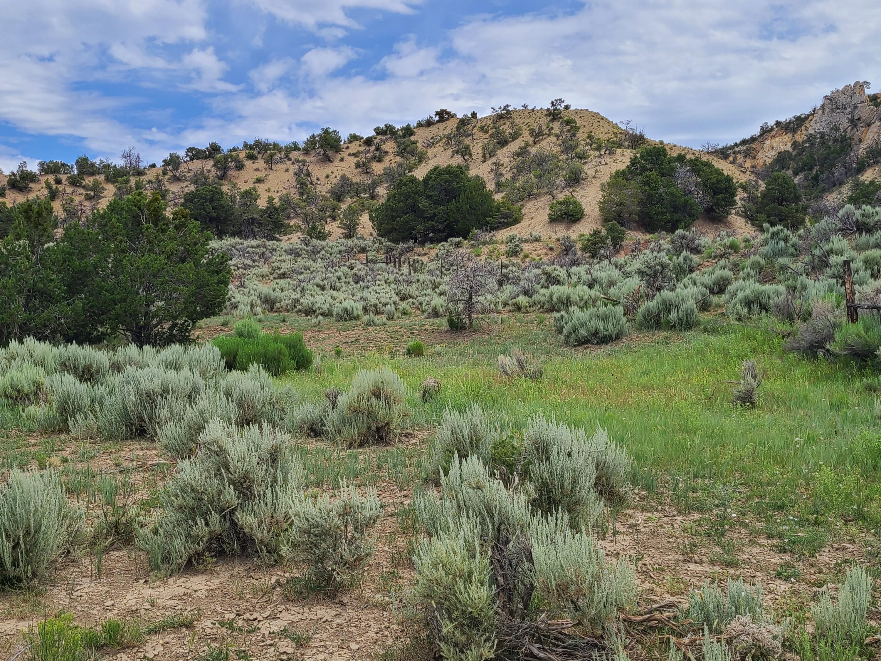 28 Arroyo Hondo Road