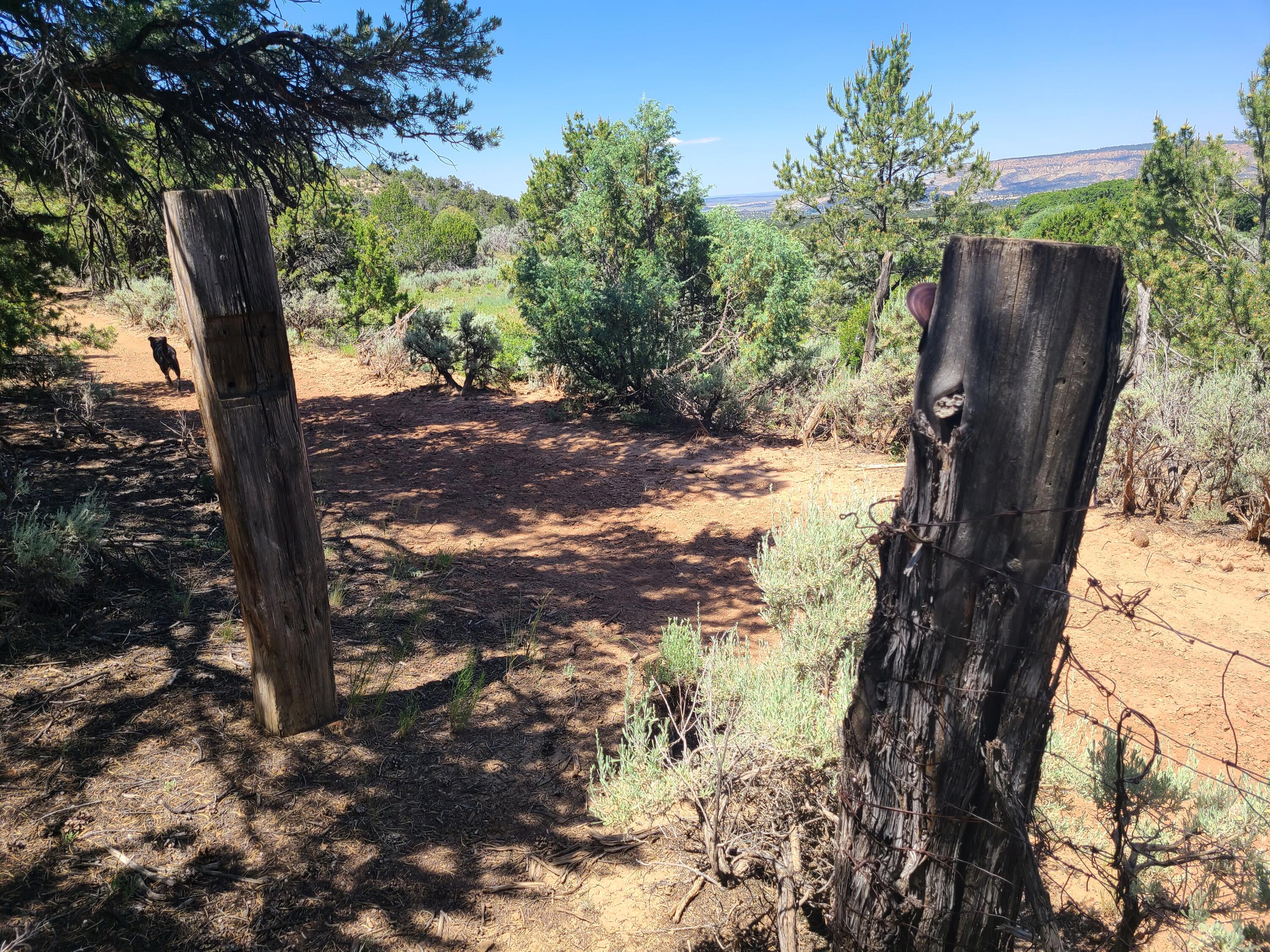 28 Arroyo Hondo Road
