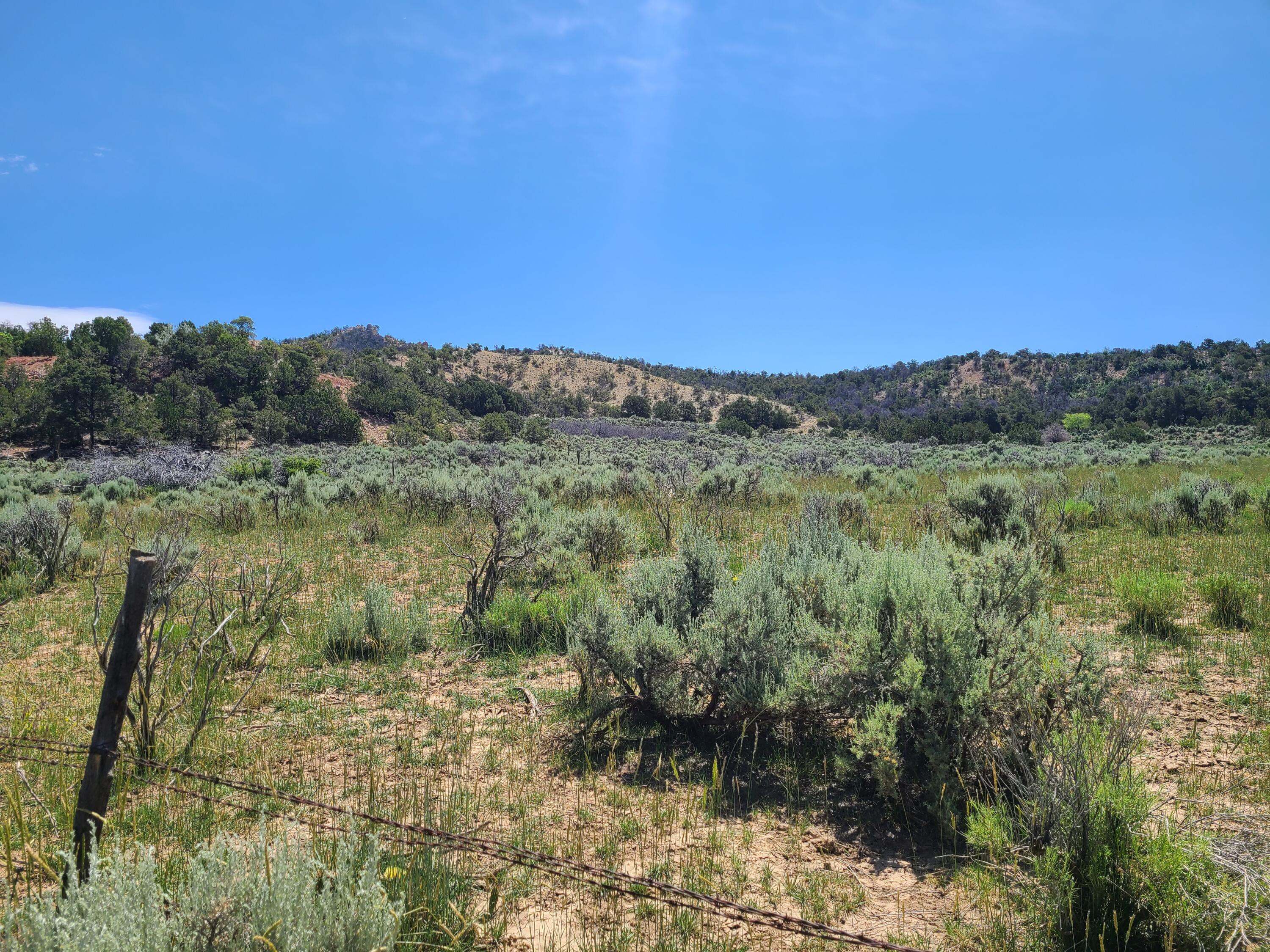 28 Arroyo Hondo Road