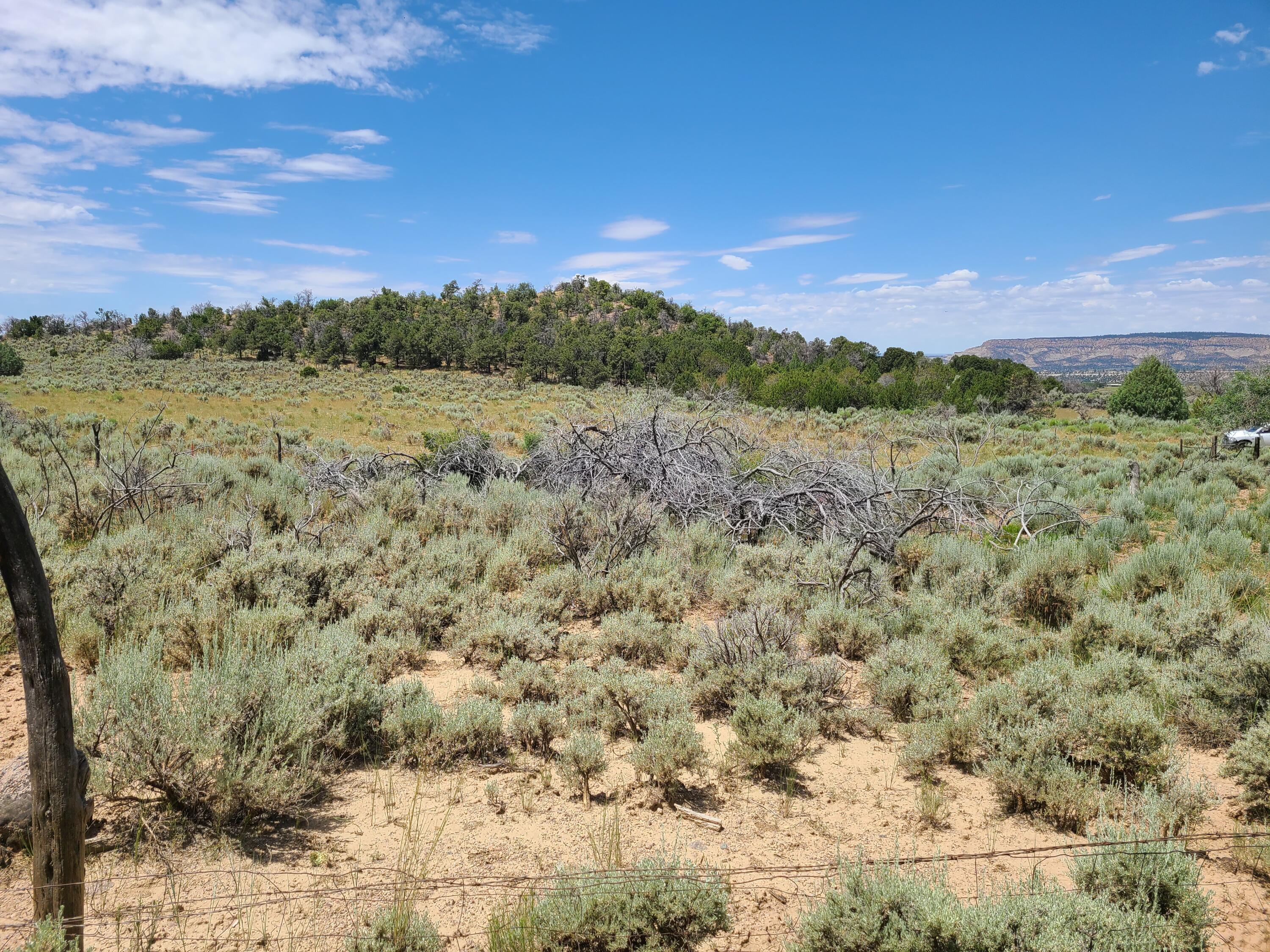 28 Arroyo Hondo Road
