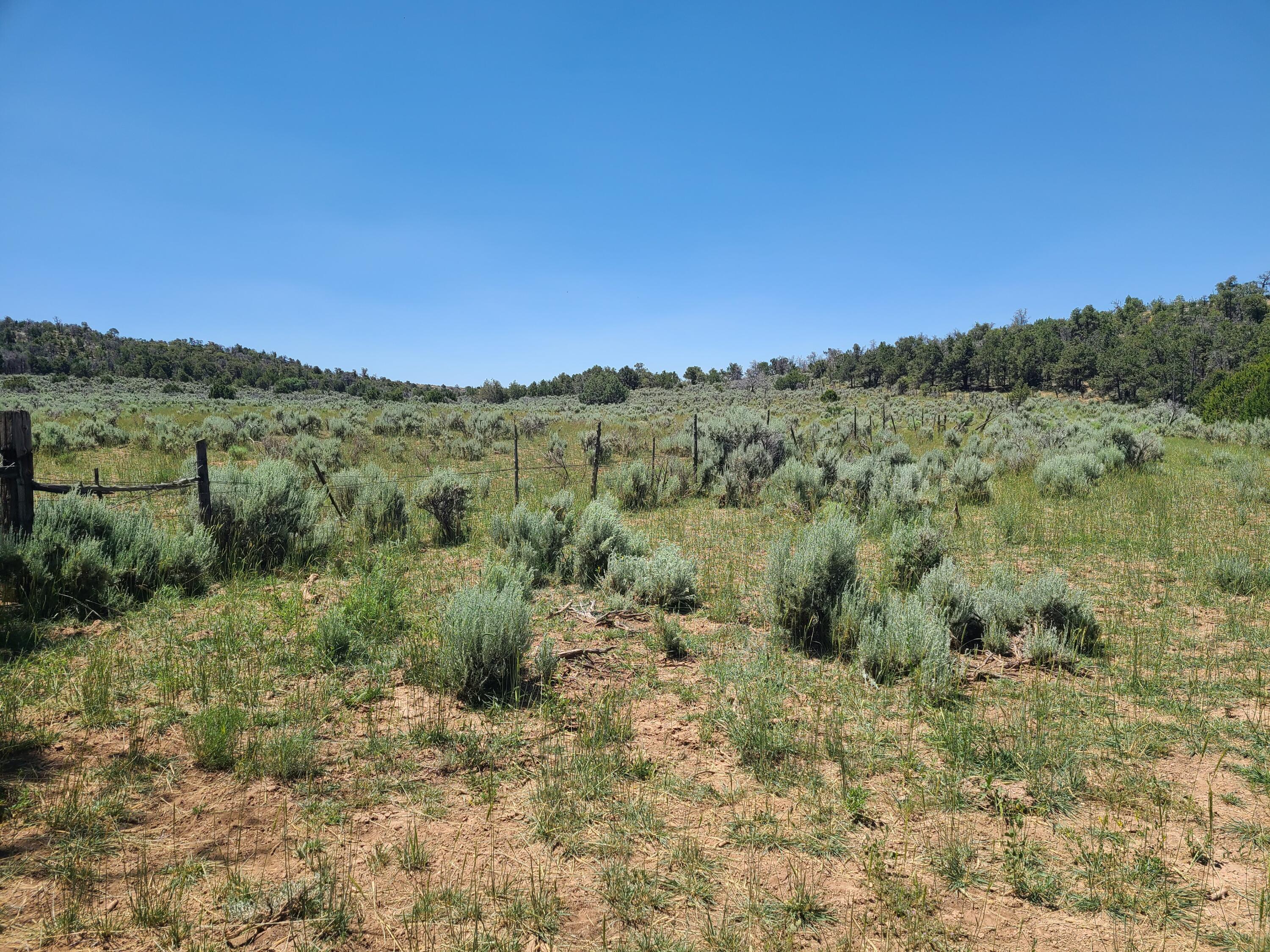 28 Arroyo Hondo Road