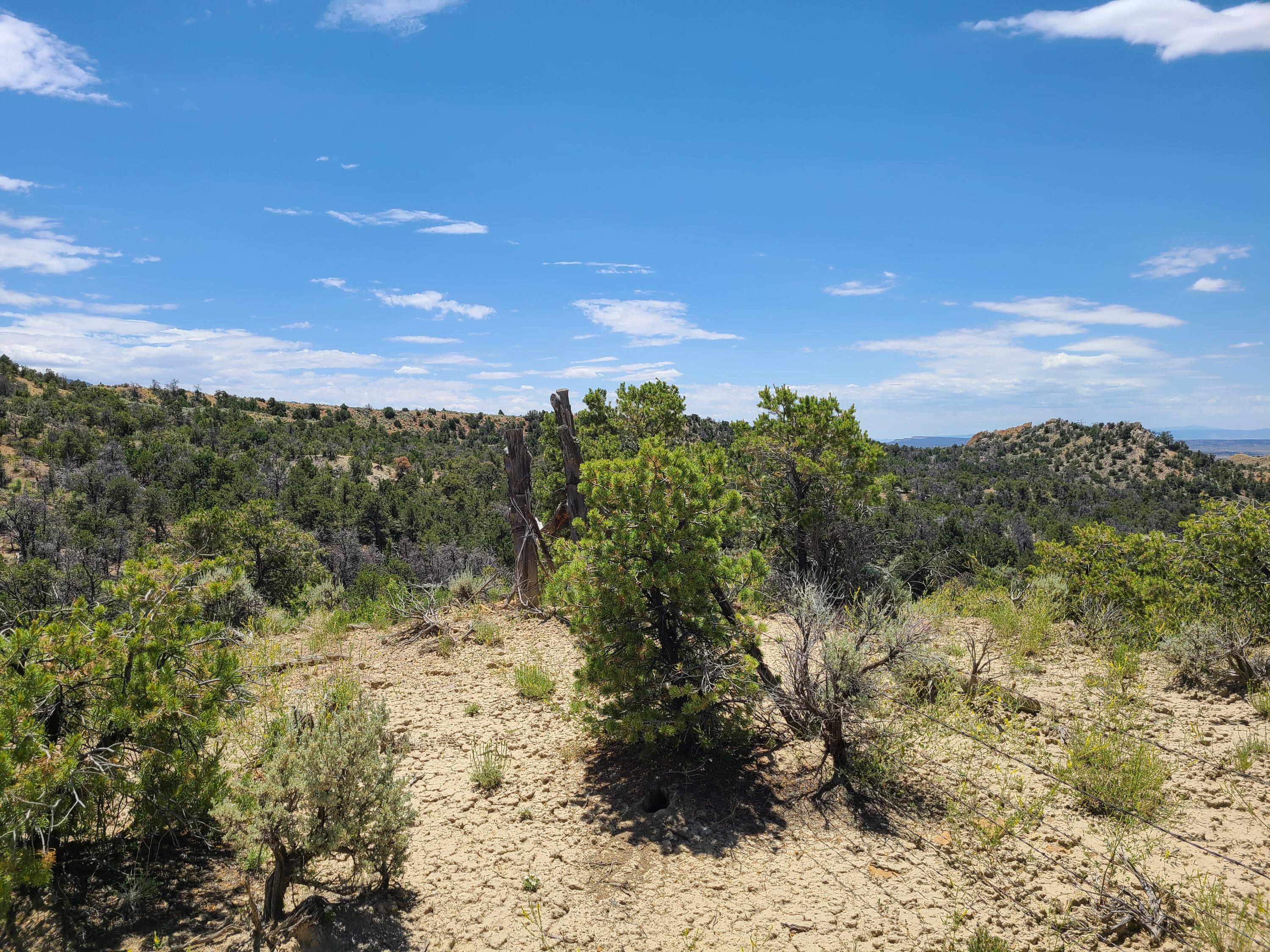 28 Arroyo Hondo Road