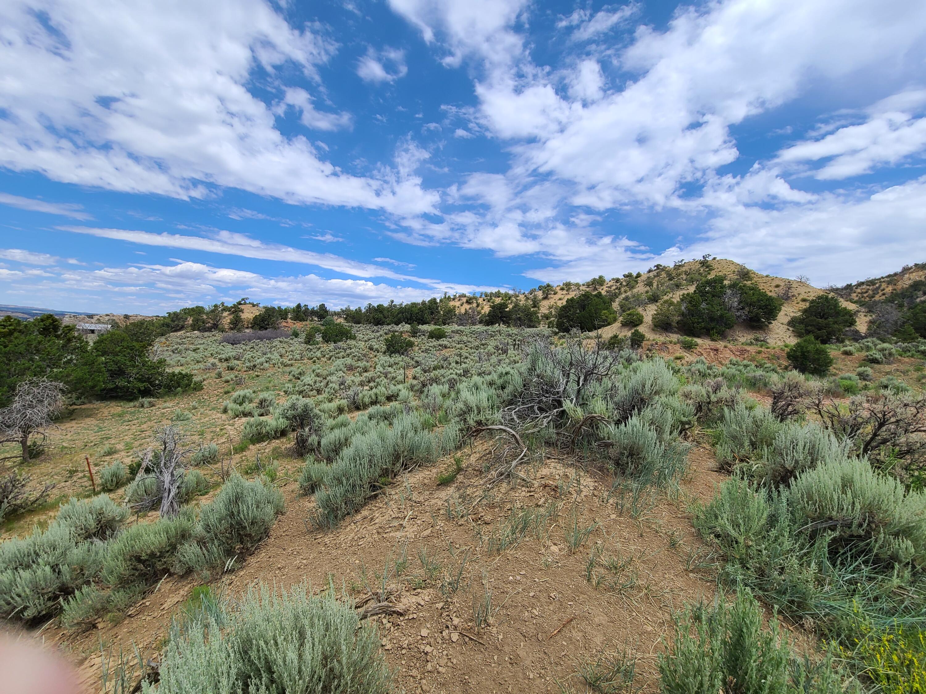 28 Arroyo Hondo Road