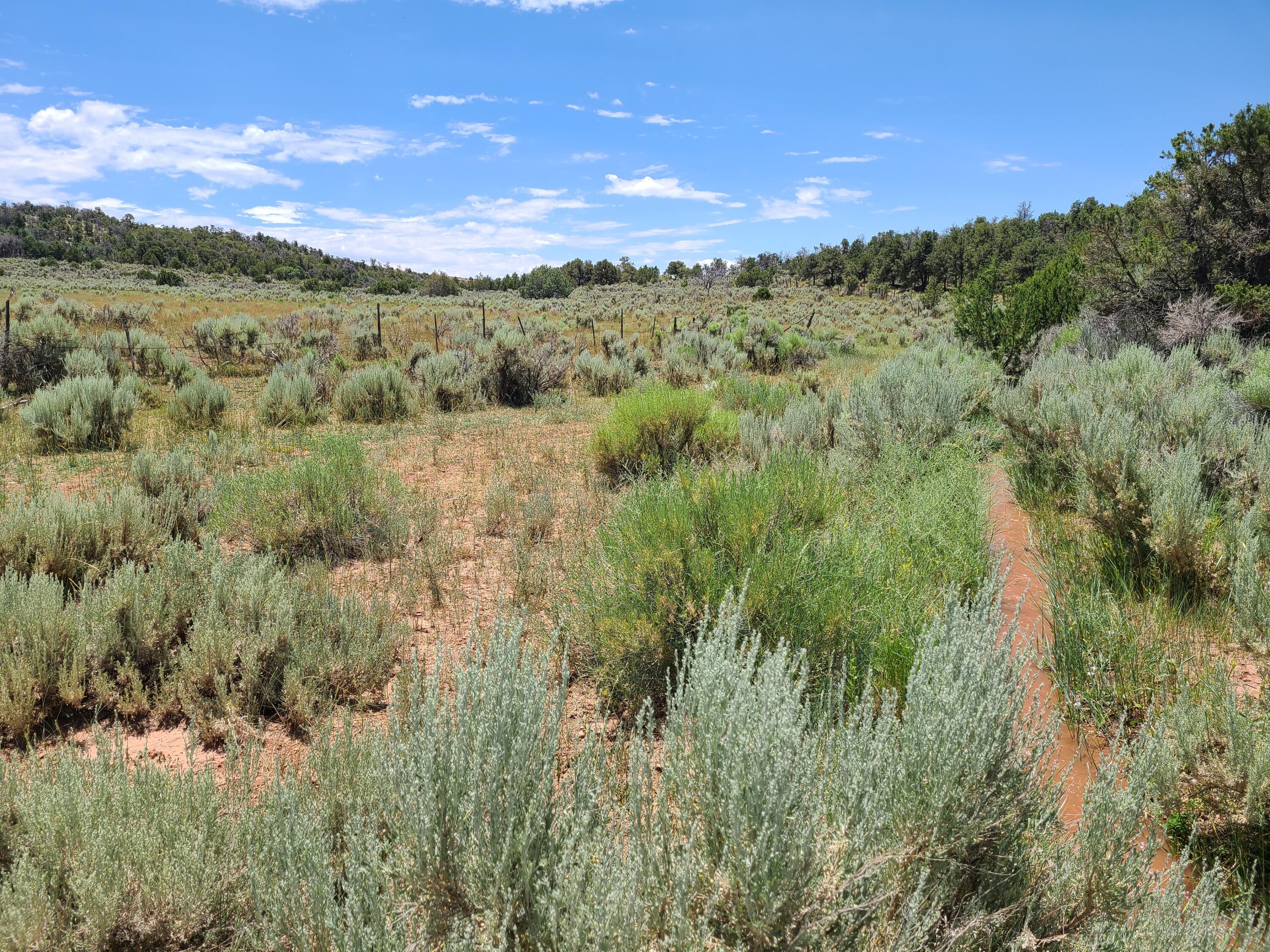 28 Arroyo Hondo Road