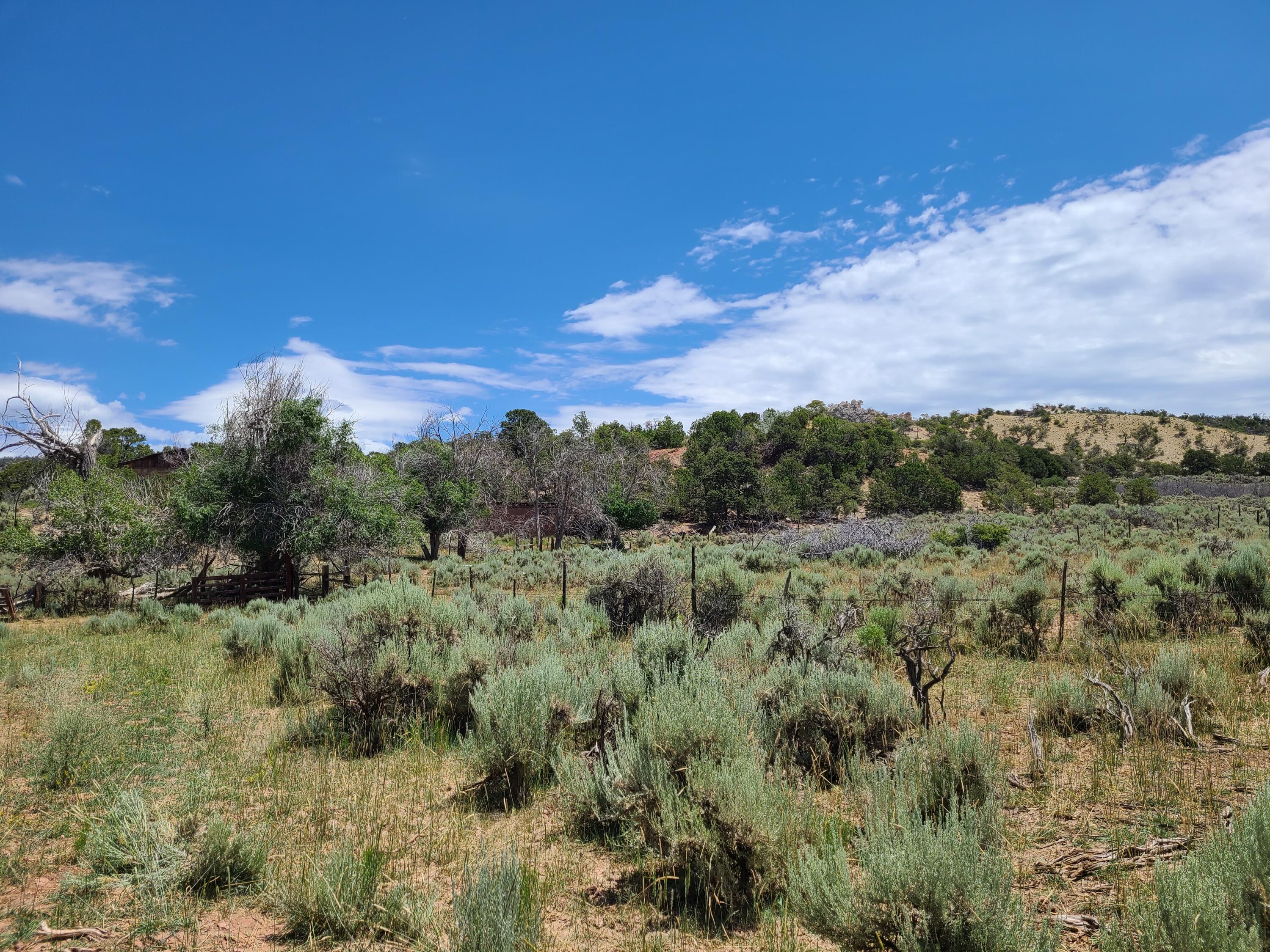 28 Arroyo Hondo Road