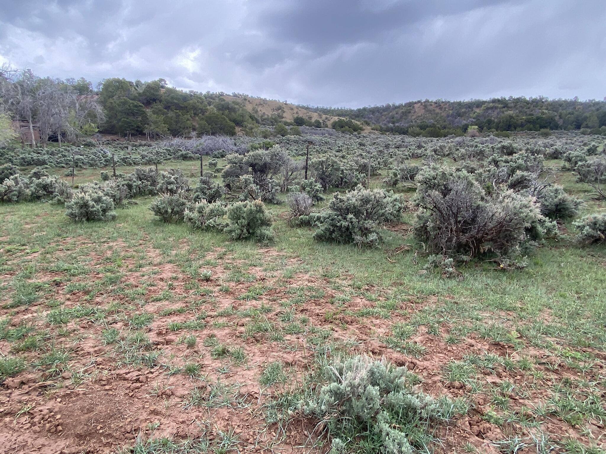 28 Arroyo Hondo Road