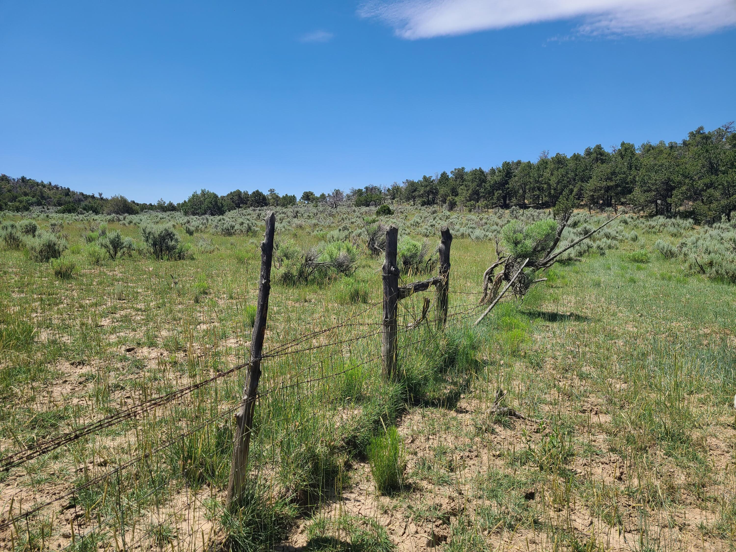 28 Arroyo Hondo Road