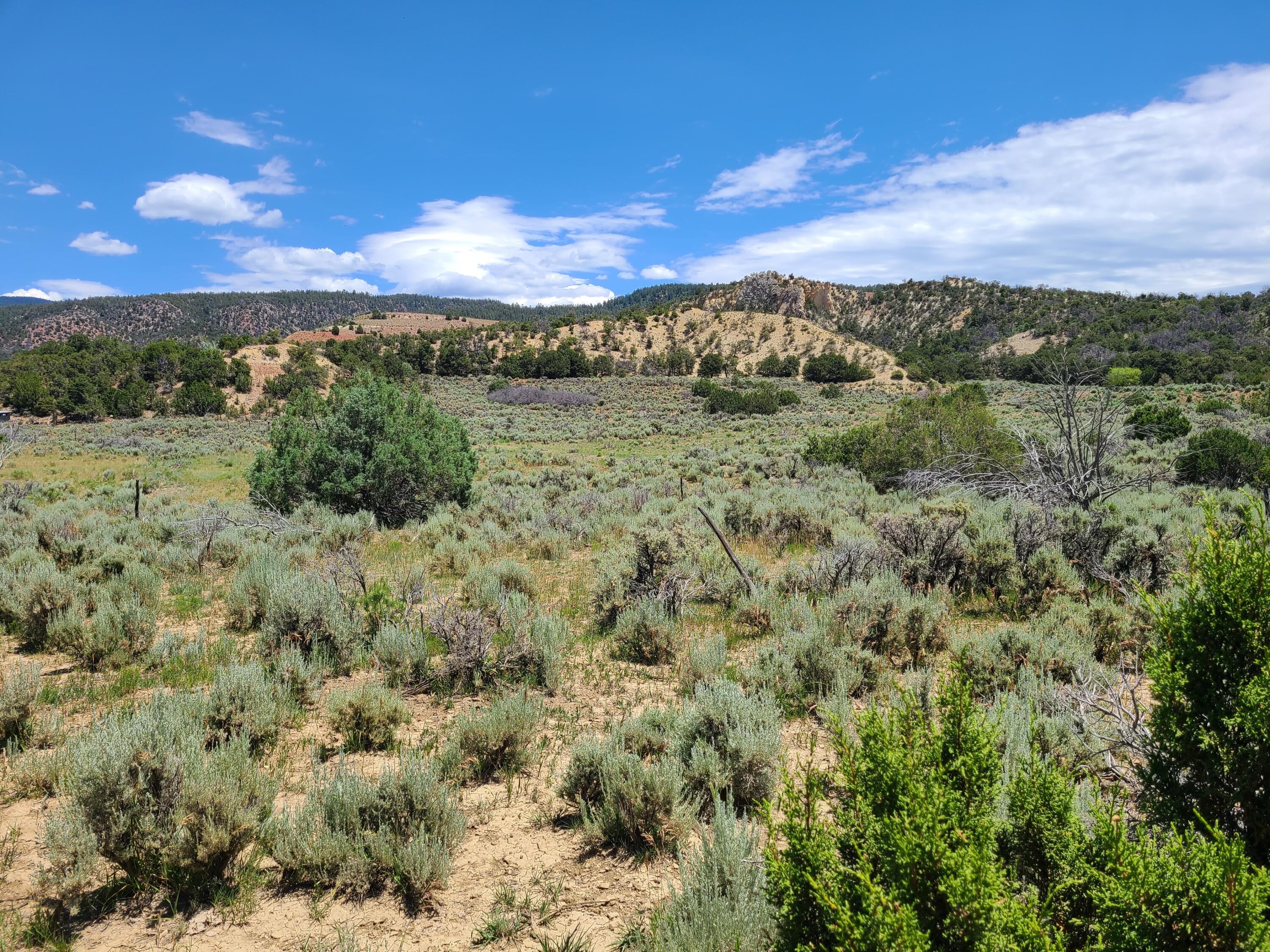 28 Arroyo Hondo Road