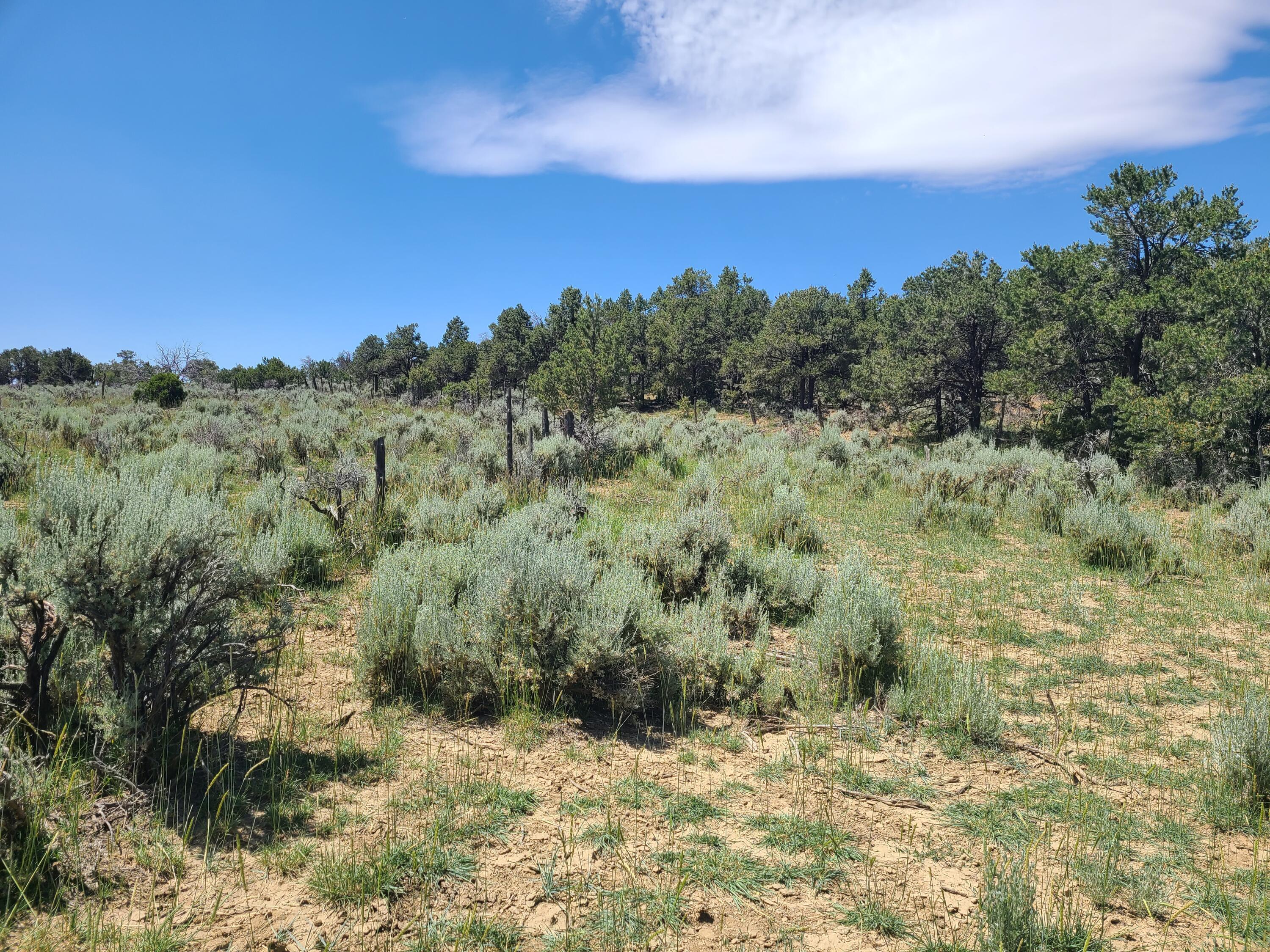 28 Arroyo Hondo Road