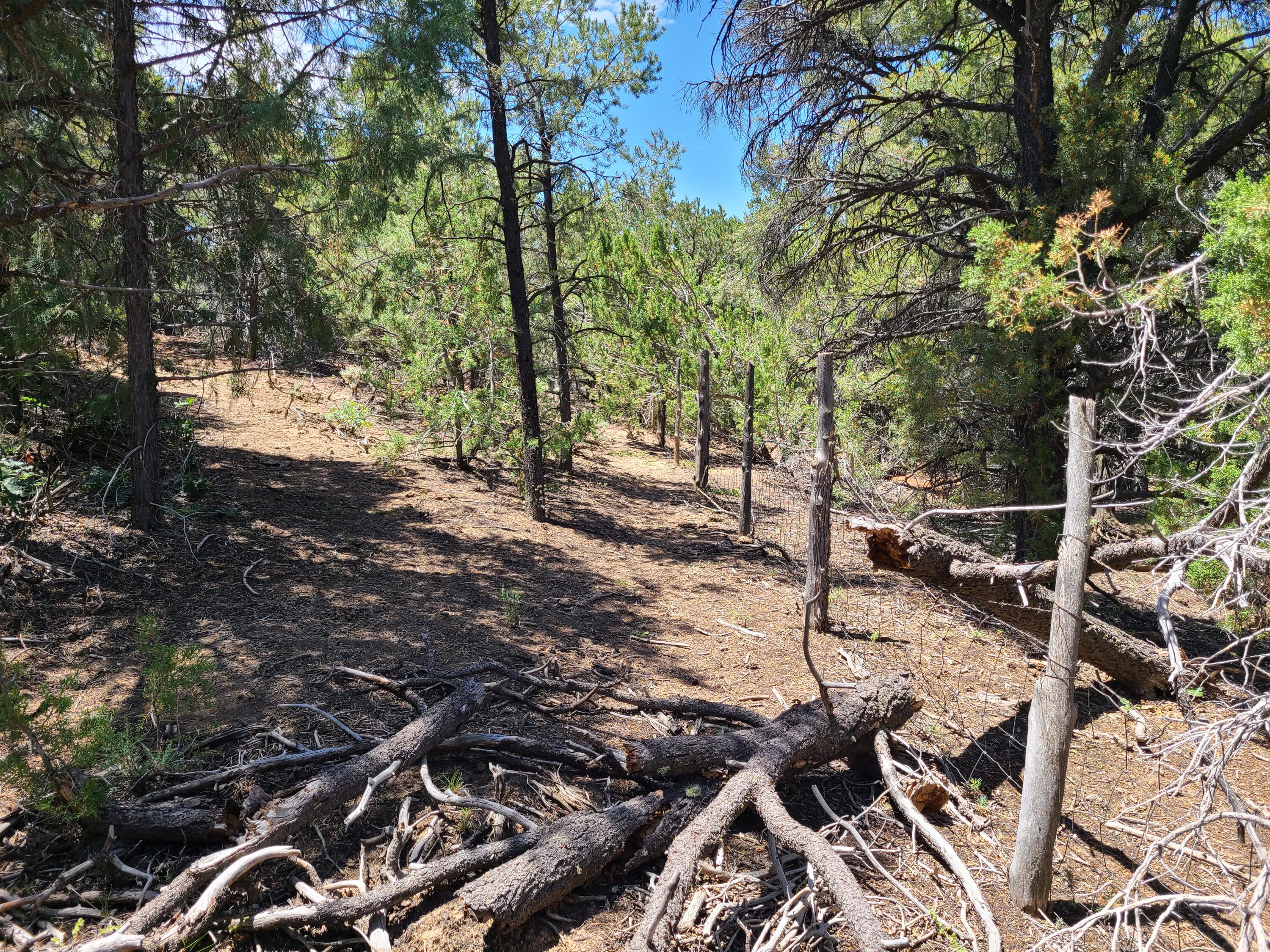 28 Arroyo Hondo Road
