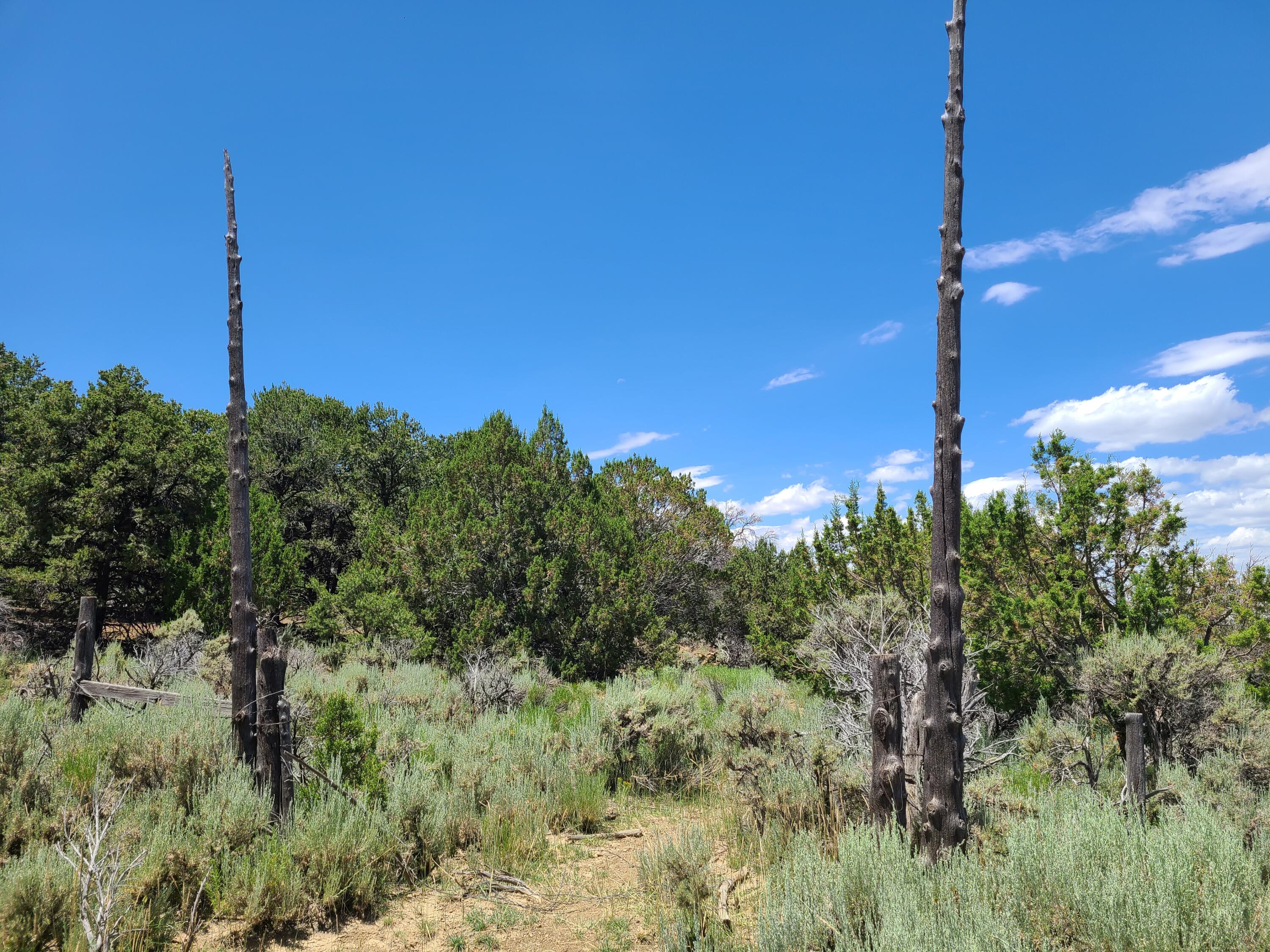 28 Arroyo Hondo Road