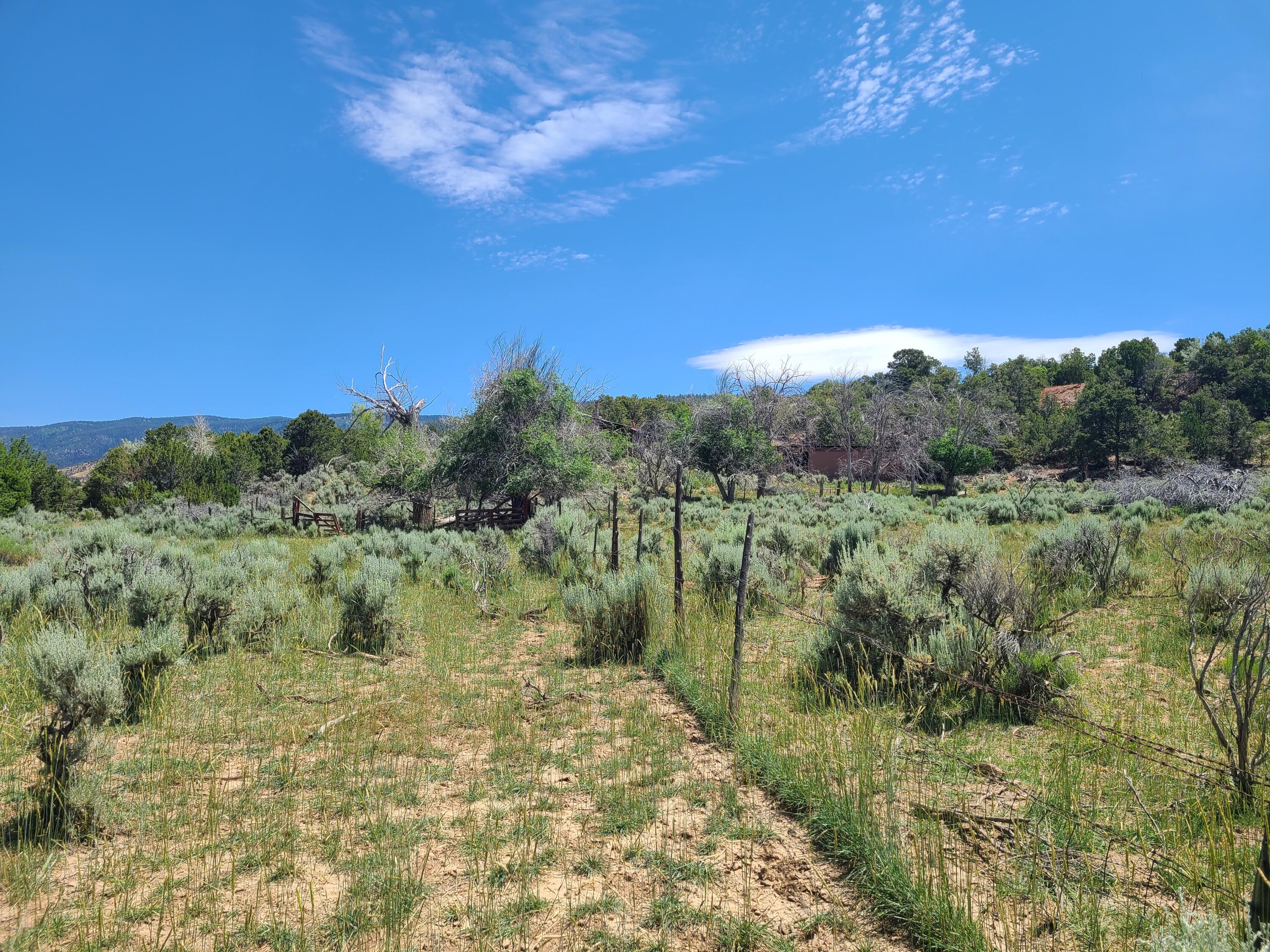 28 Arroyo Hondo Road