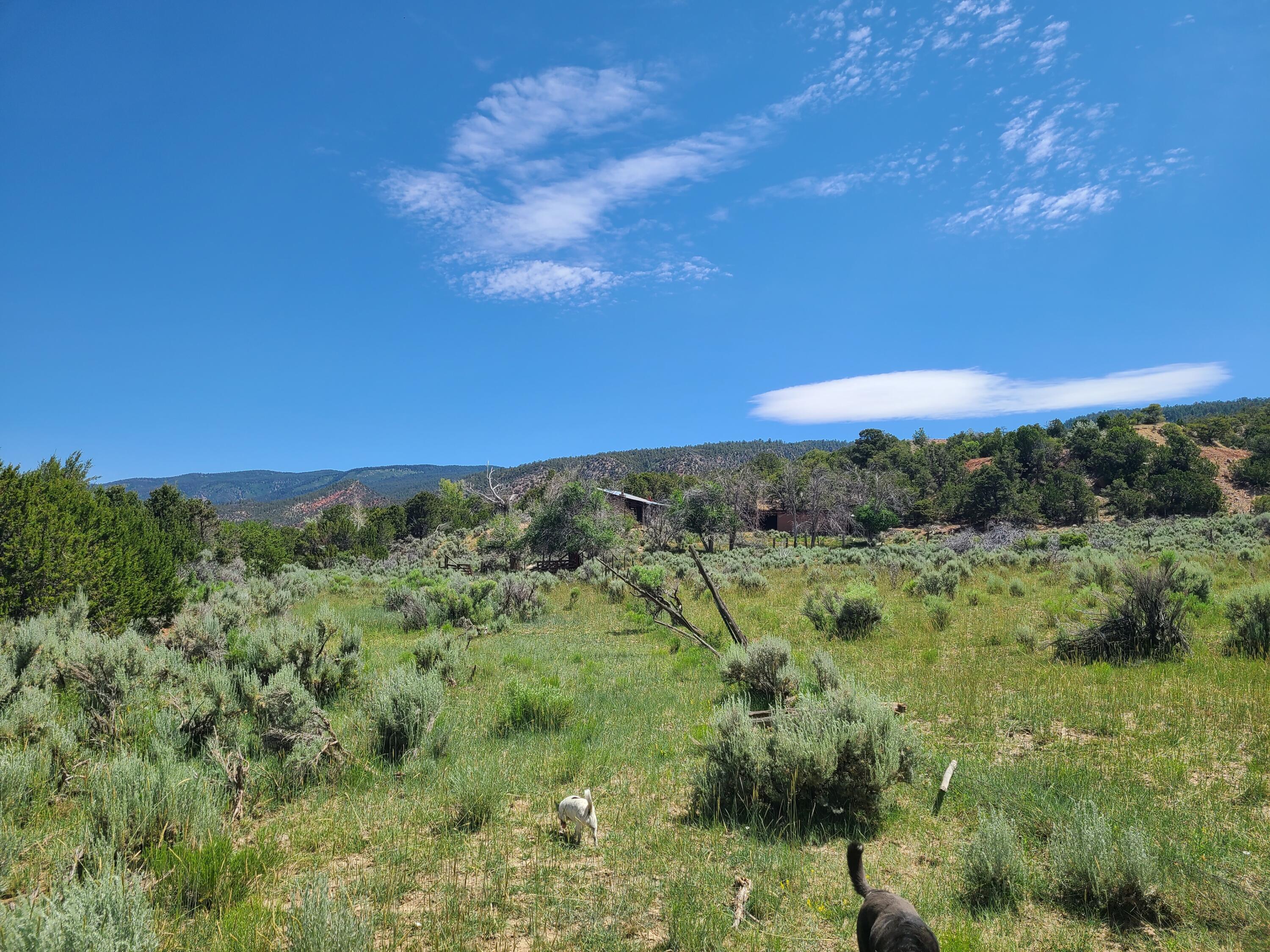 28 Arroyo Hondo Road