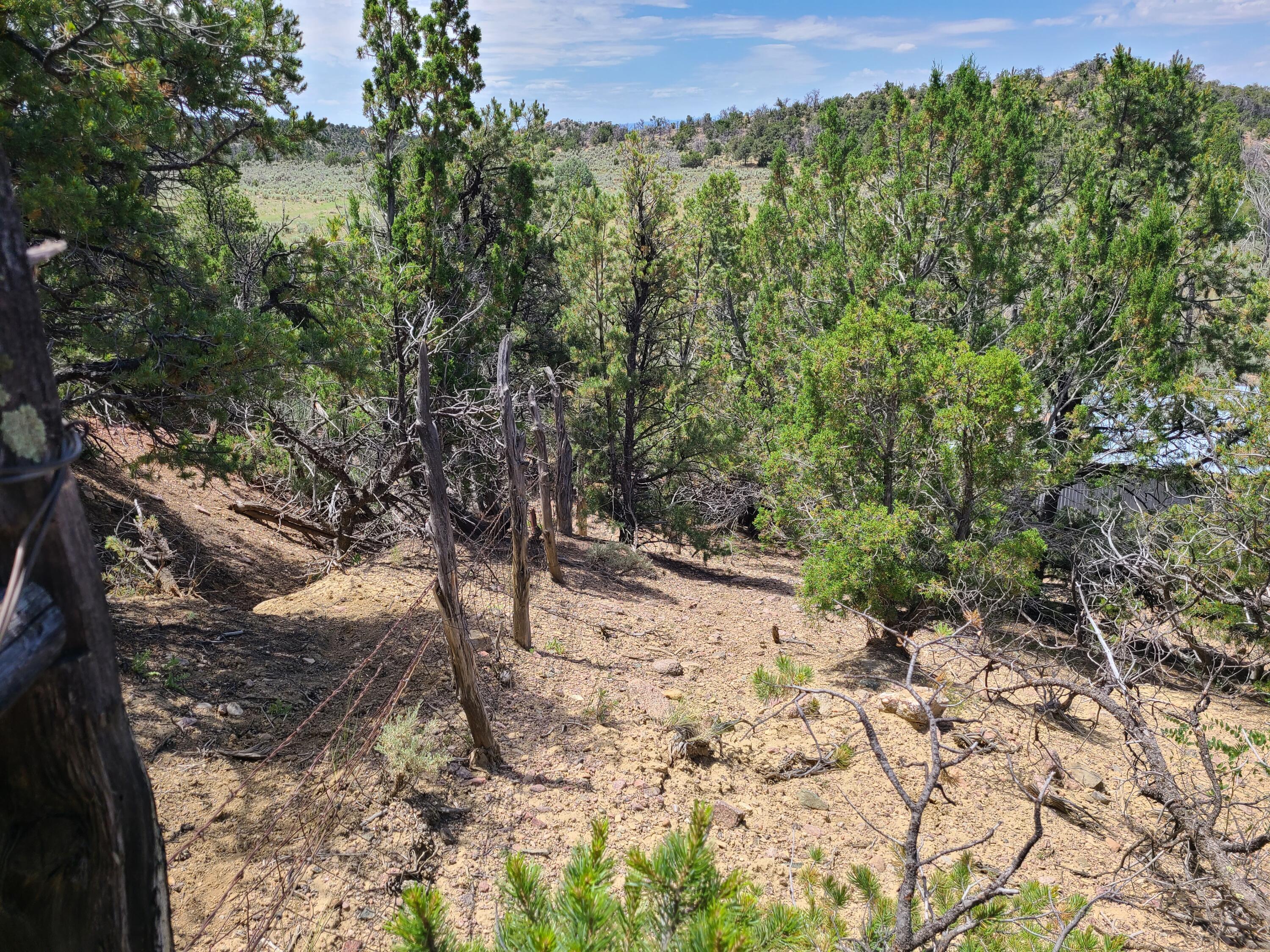 28 Arroyo Hondo Road