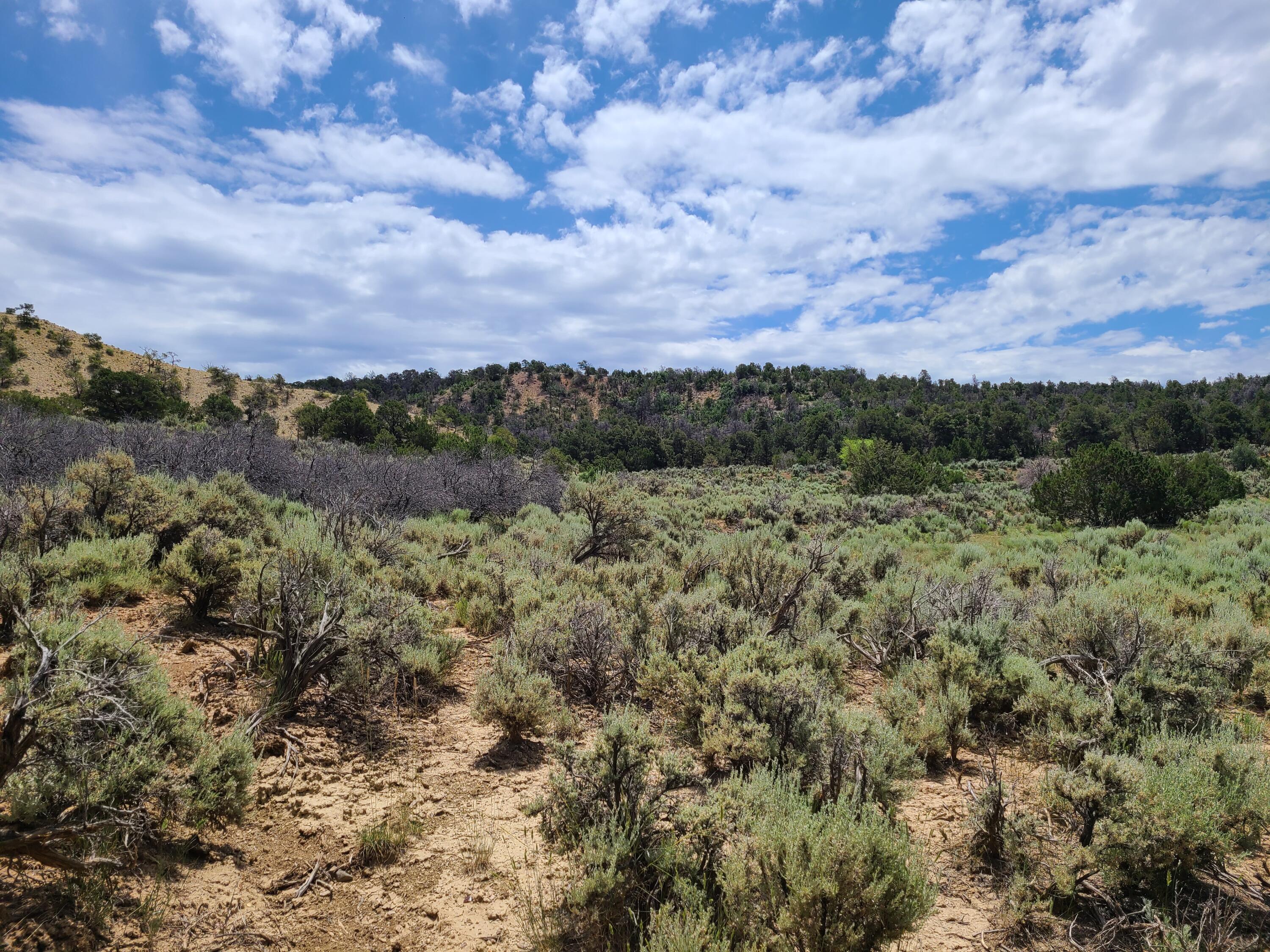 28 Arroyo Hondo Road