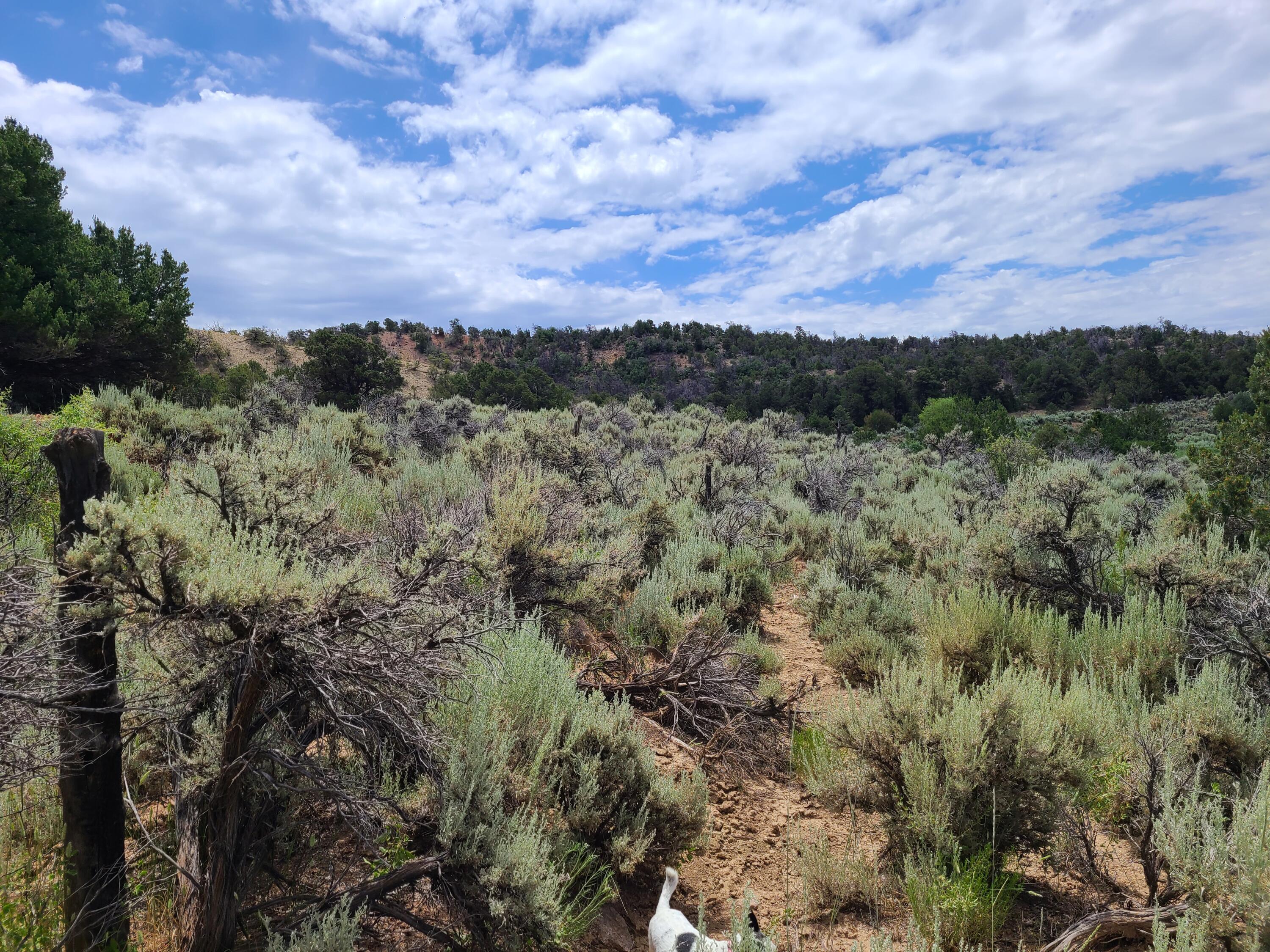 28 Arroyo Hondo Road