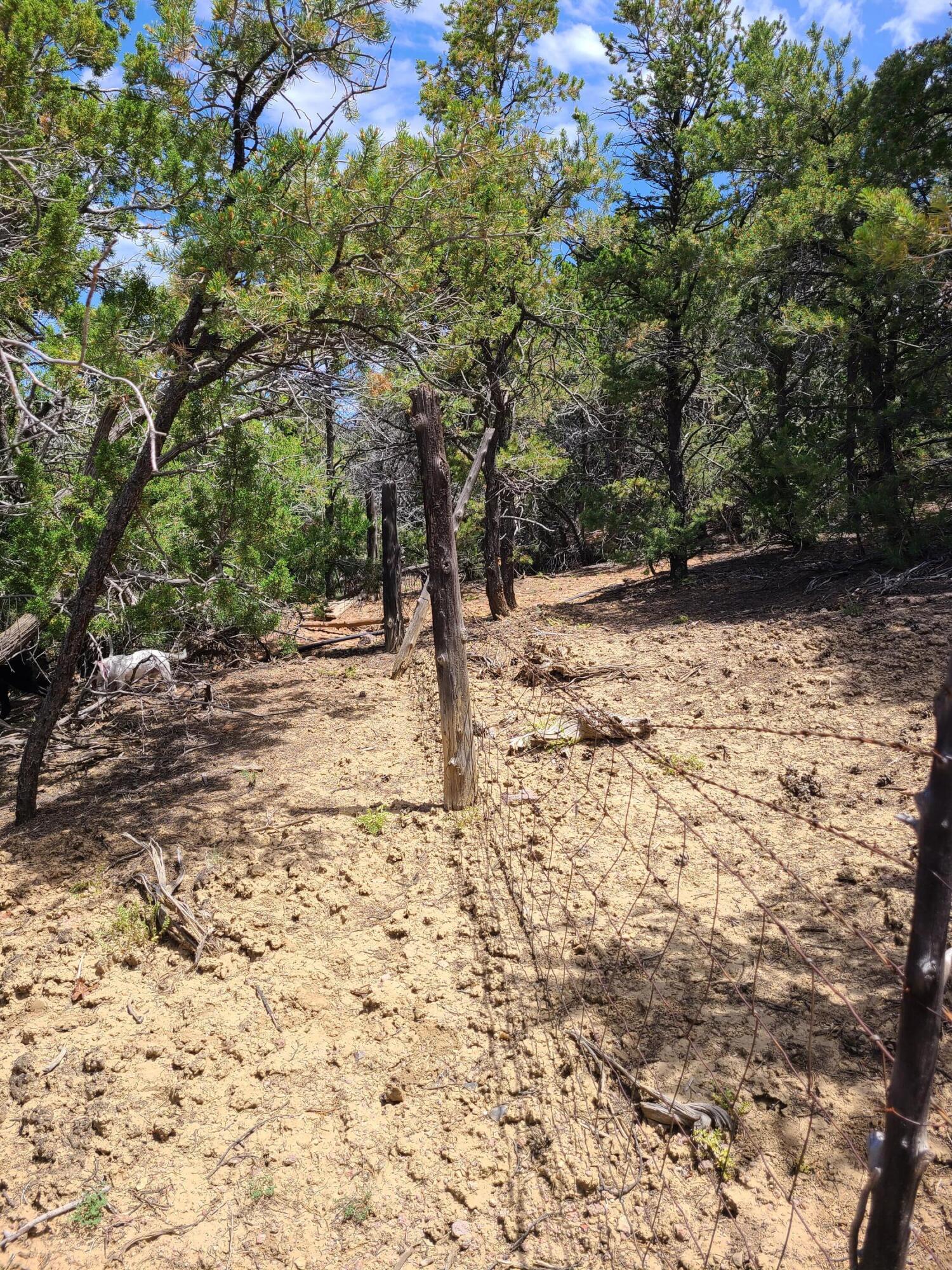 28 Arroyo Hondo Road