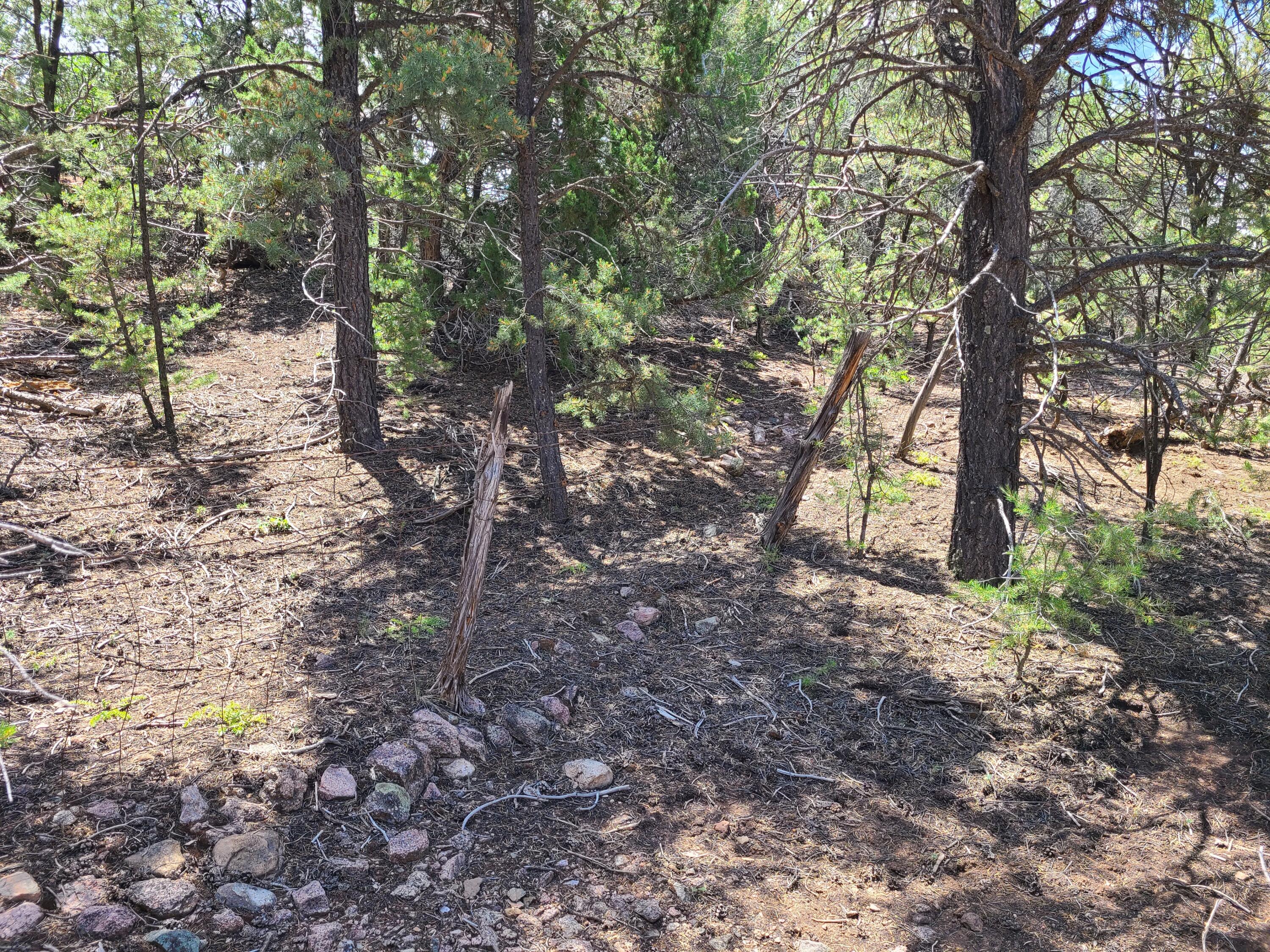 28 Arroyo Hondo Road