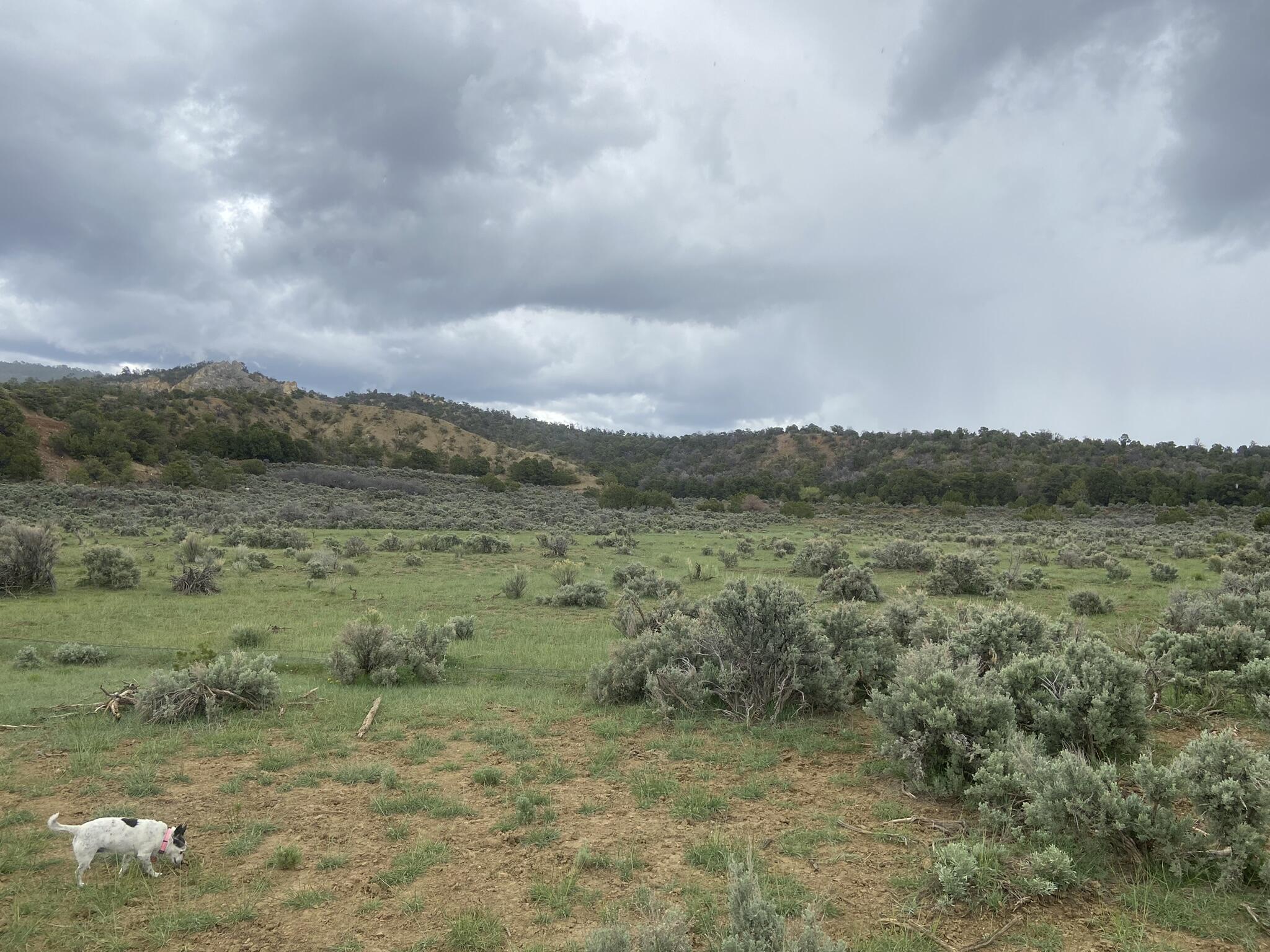 28 Arroyo Hondo Road
