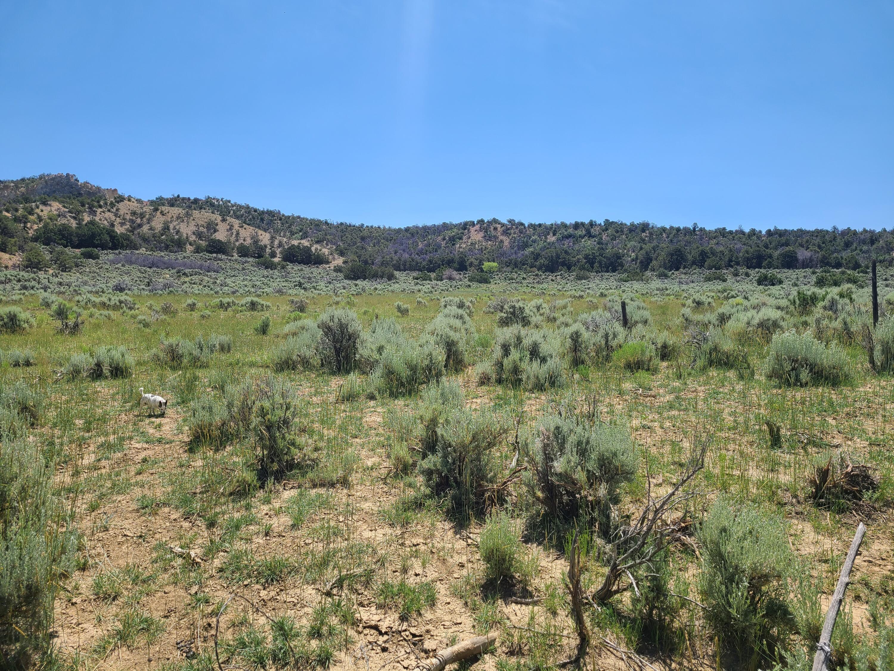 28 Arroyo Hondo Road