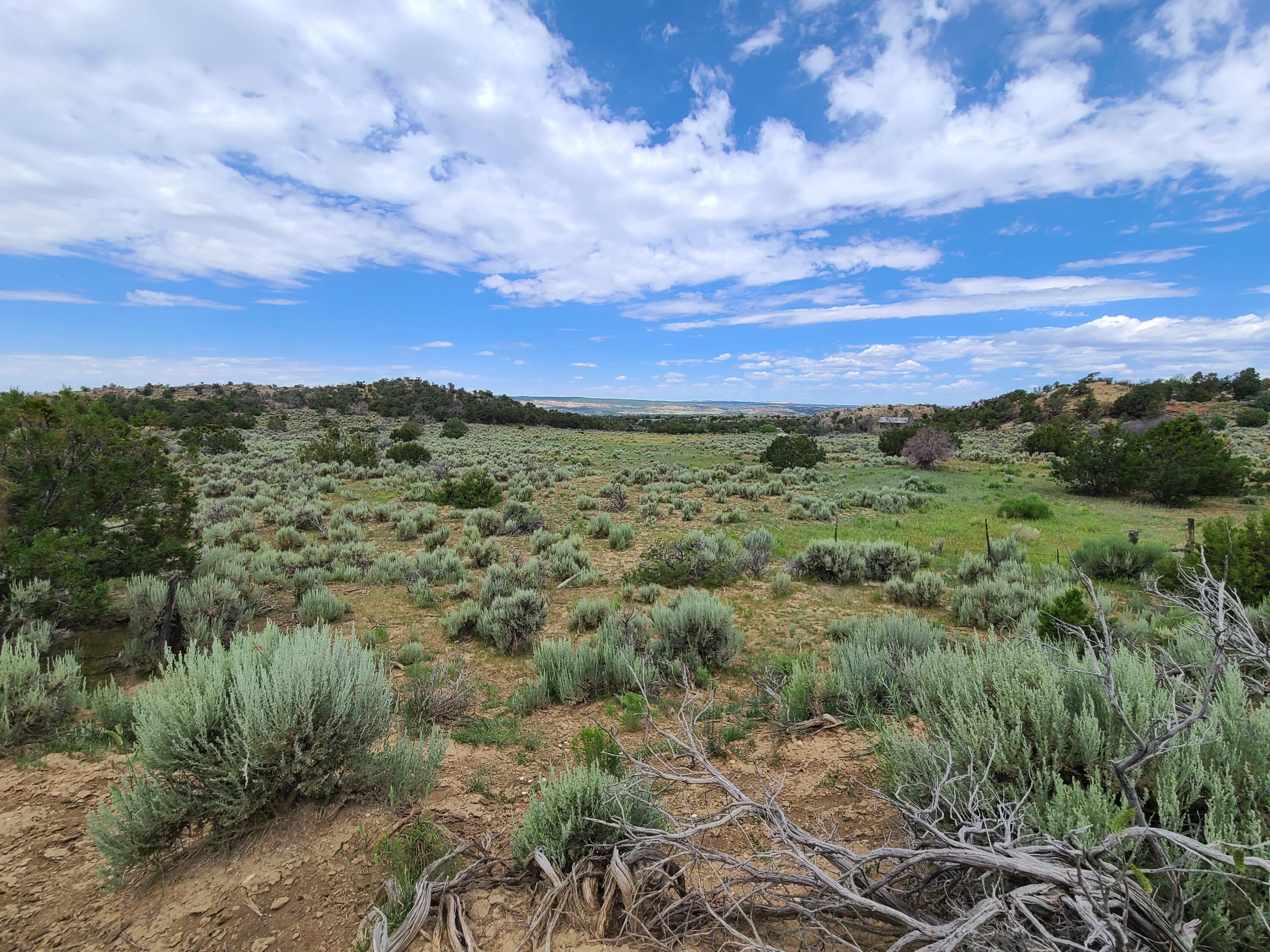 28 Arroyo Hondo Road