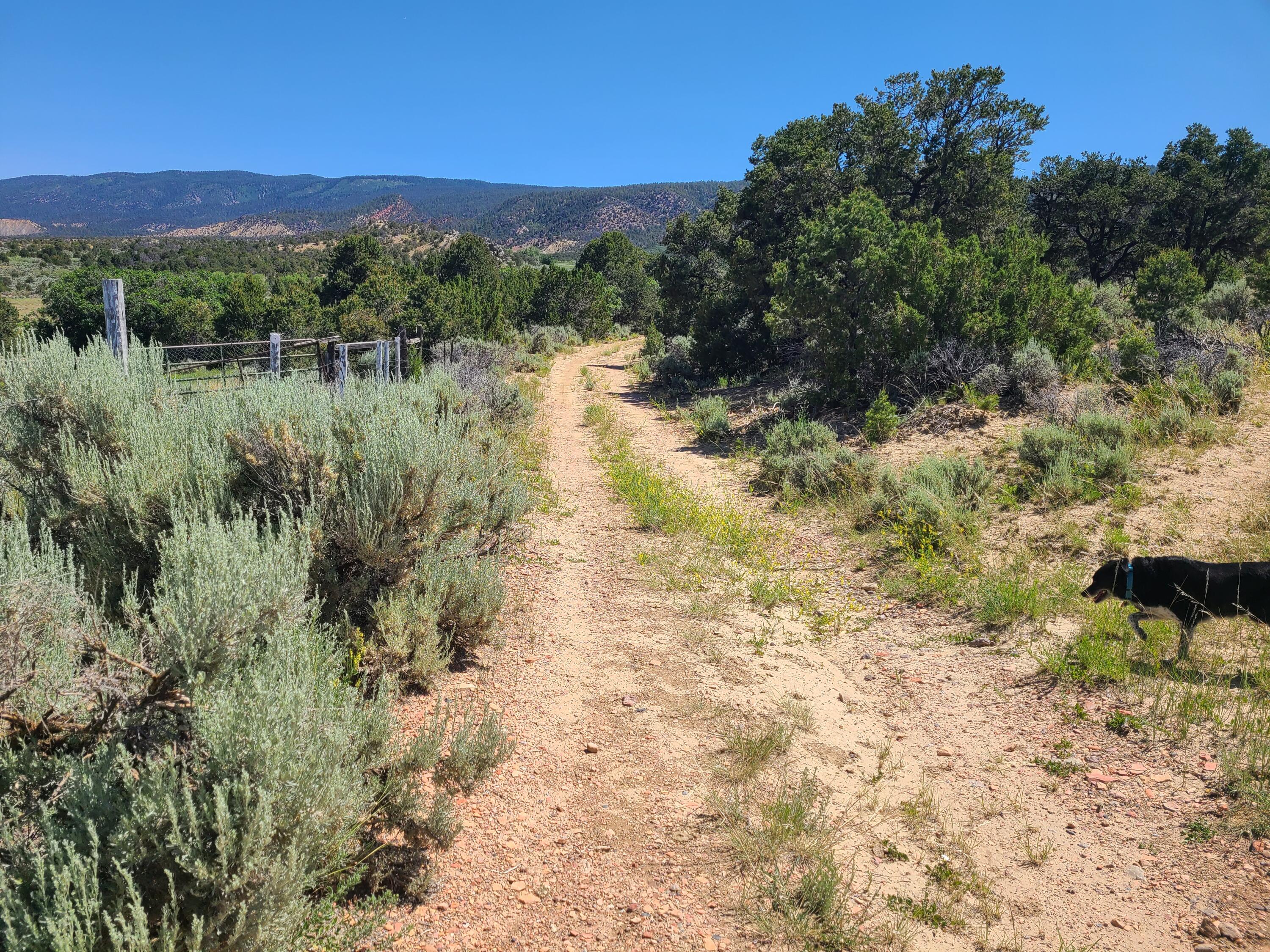 28 Arroyo Hondo Road