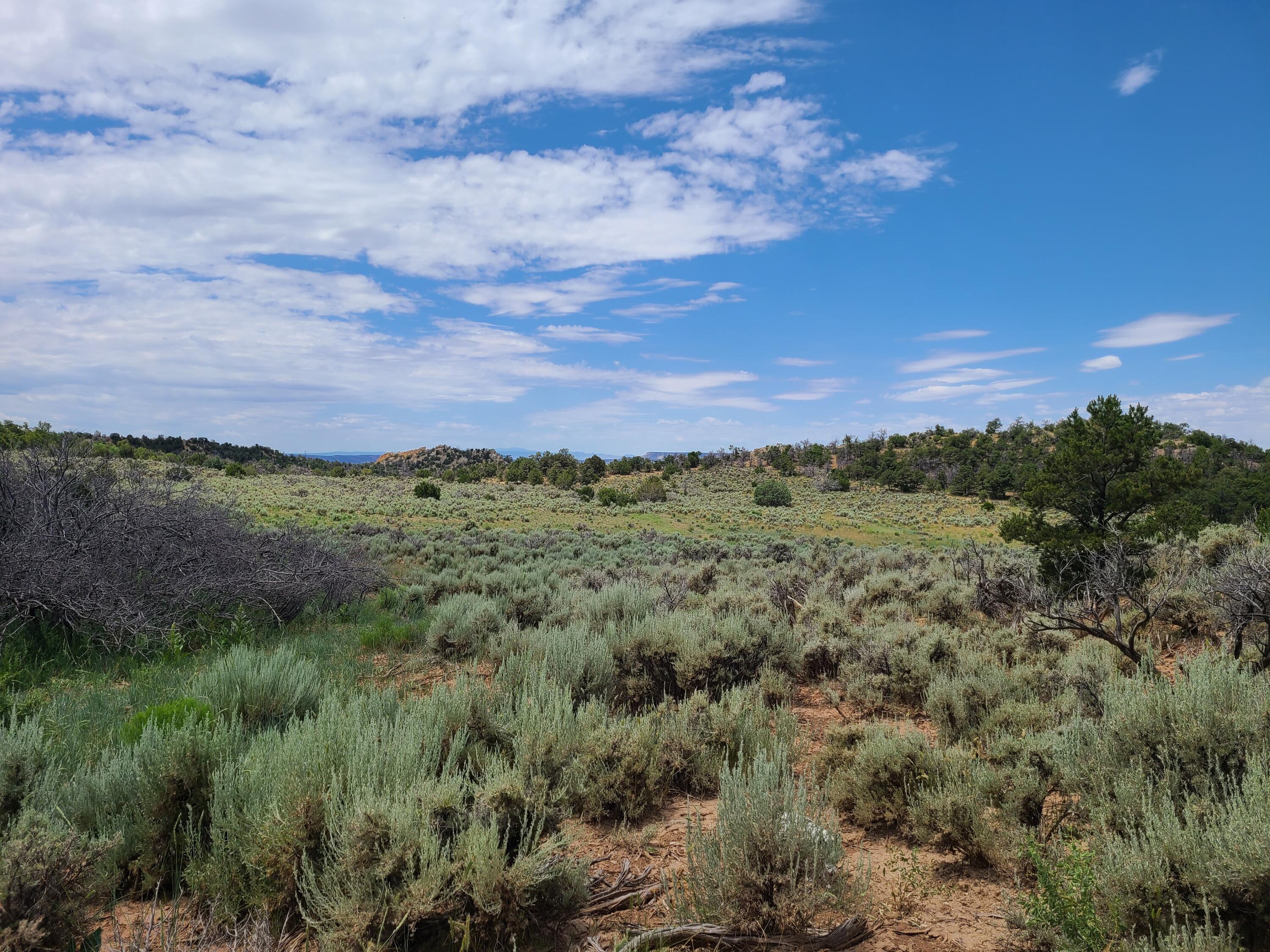 28 Arroyo Hondo Road