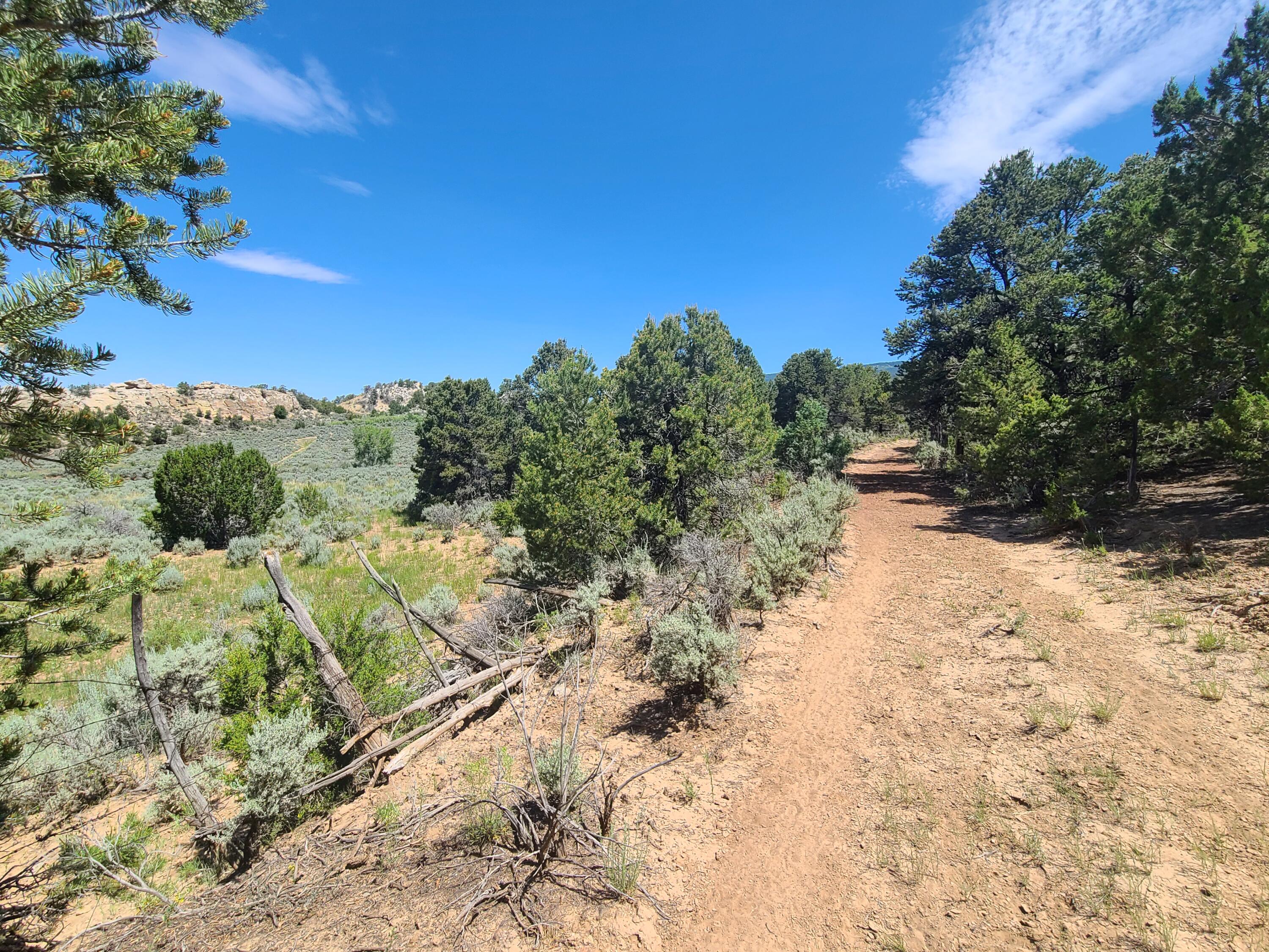 28 Arroyo Hondo Road