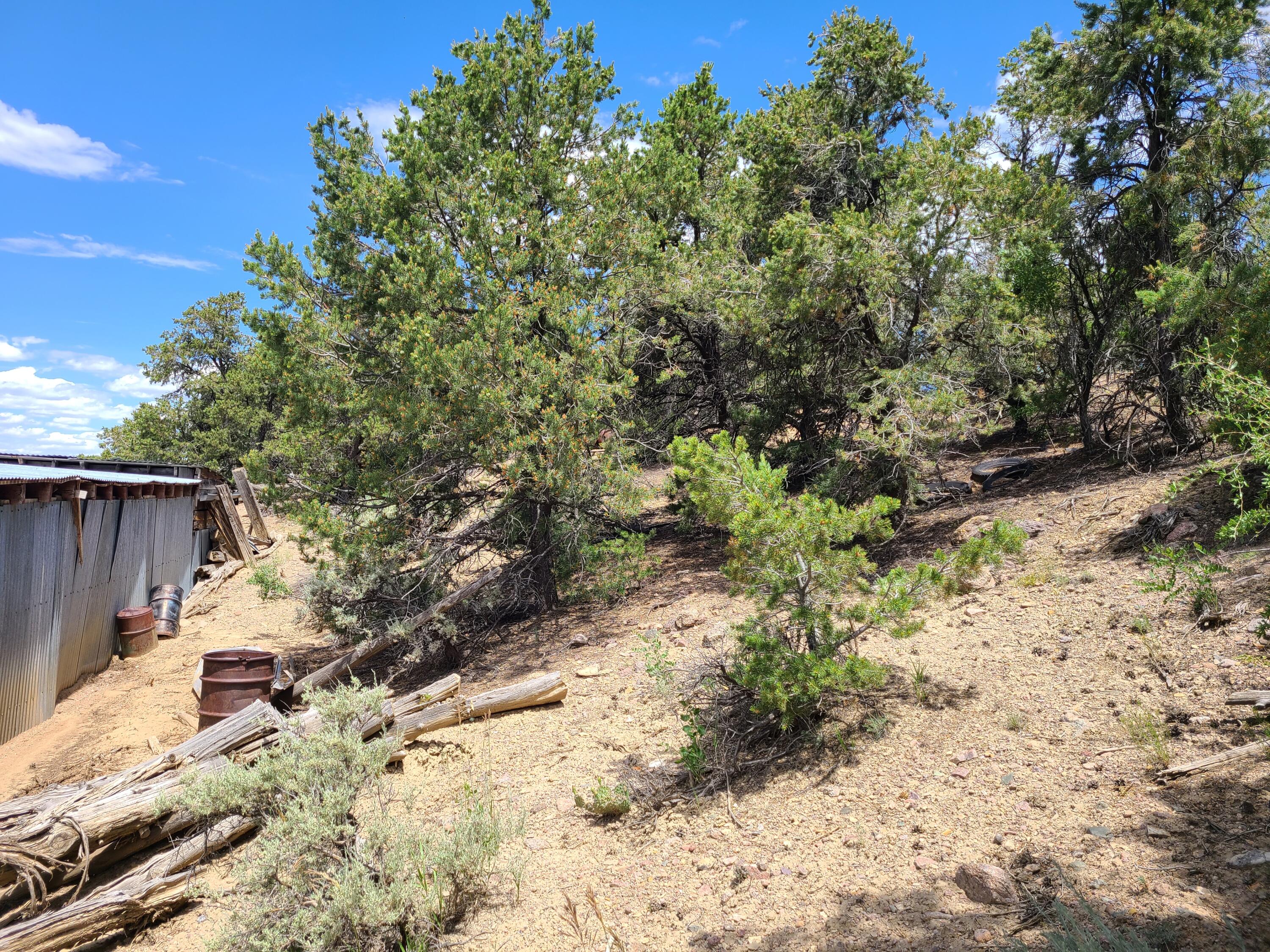 28 Arroyo Hondo Road