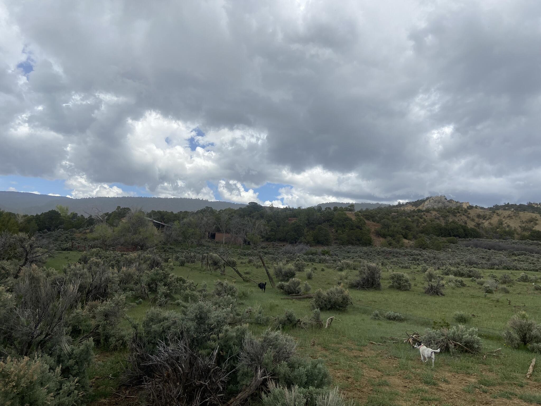 28 Arroyo Hondo Road