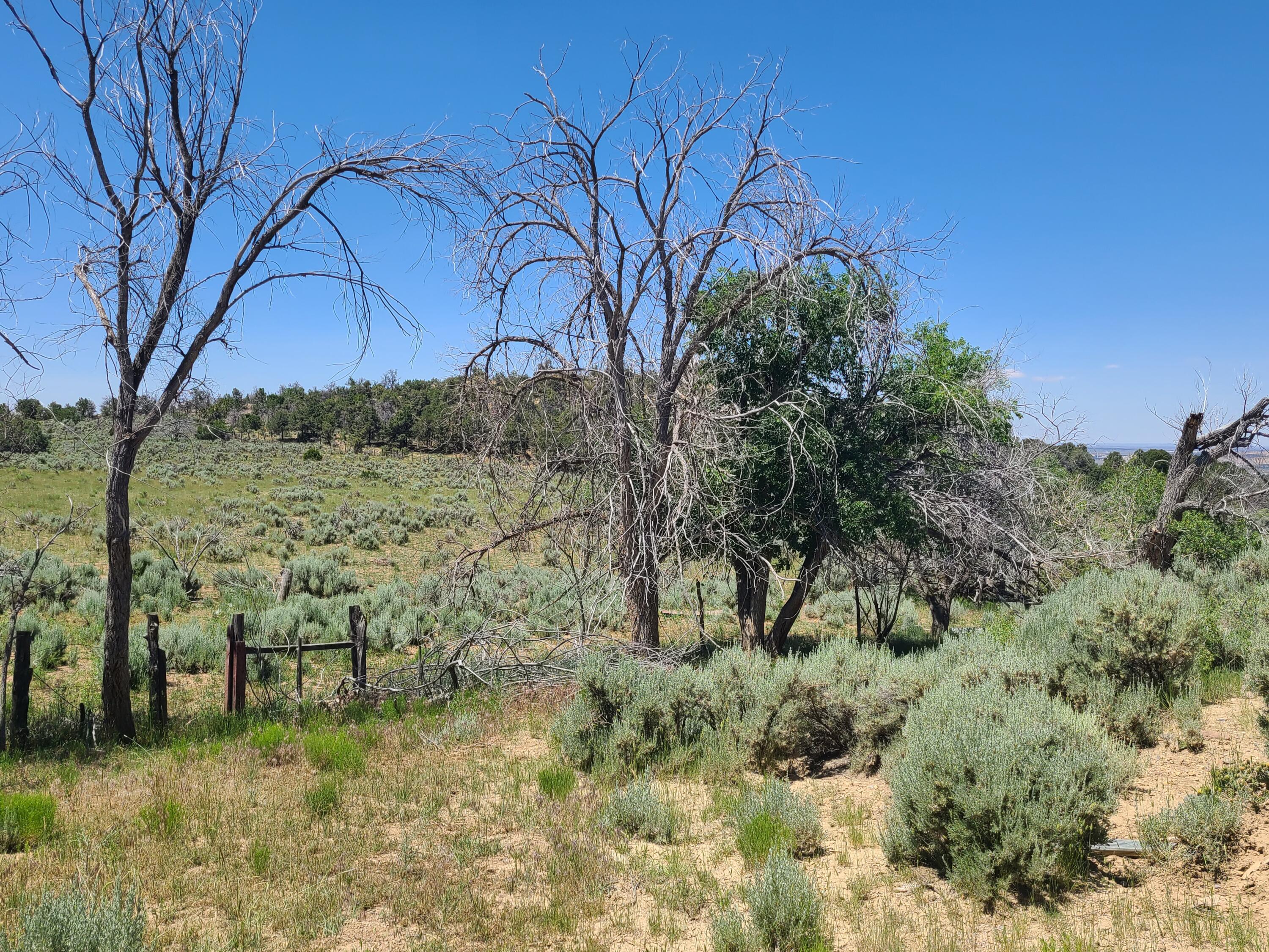 28 Arroyo Hondo Road