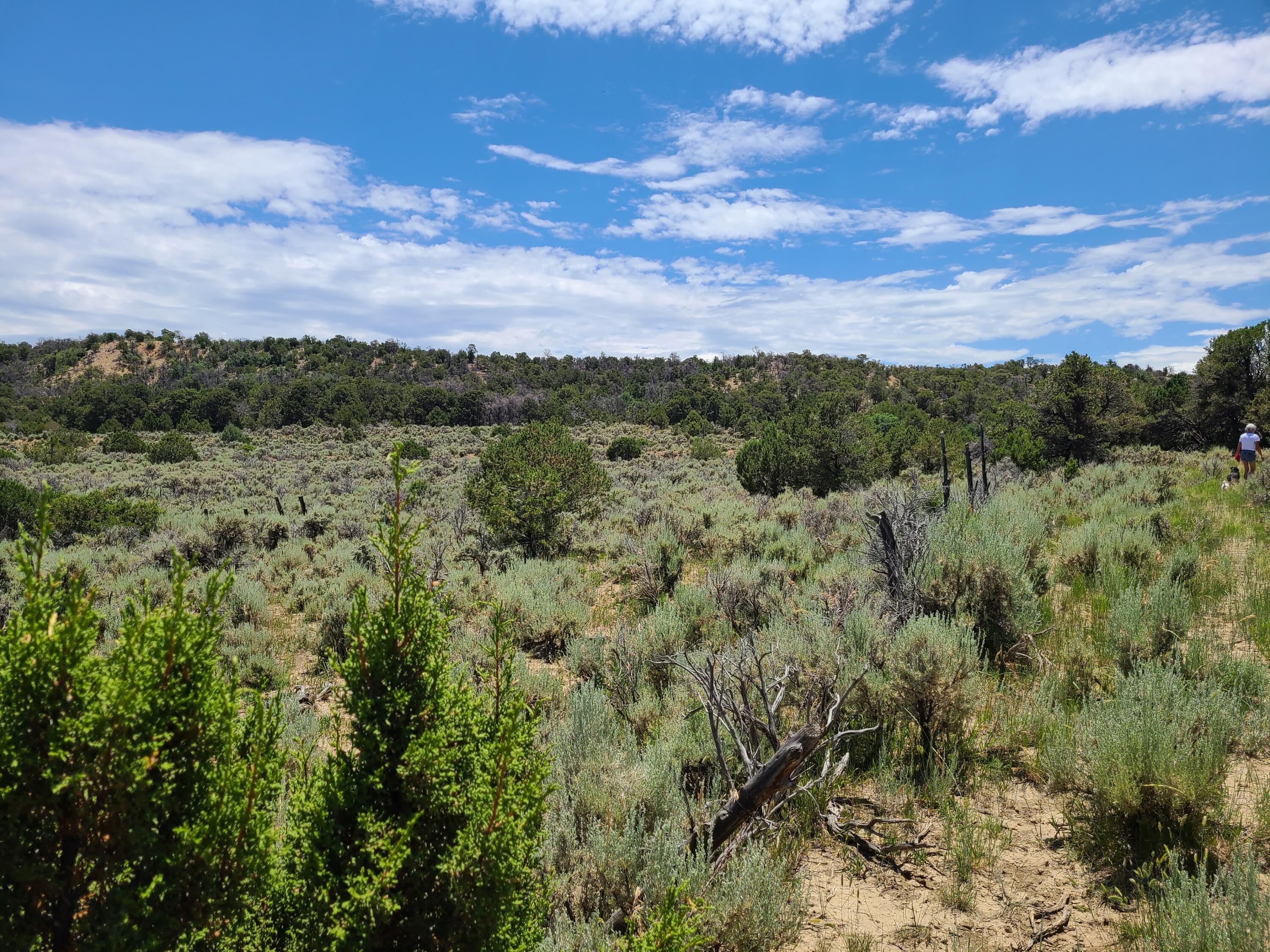28 Arroyo Hondo Road