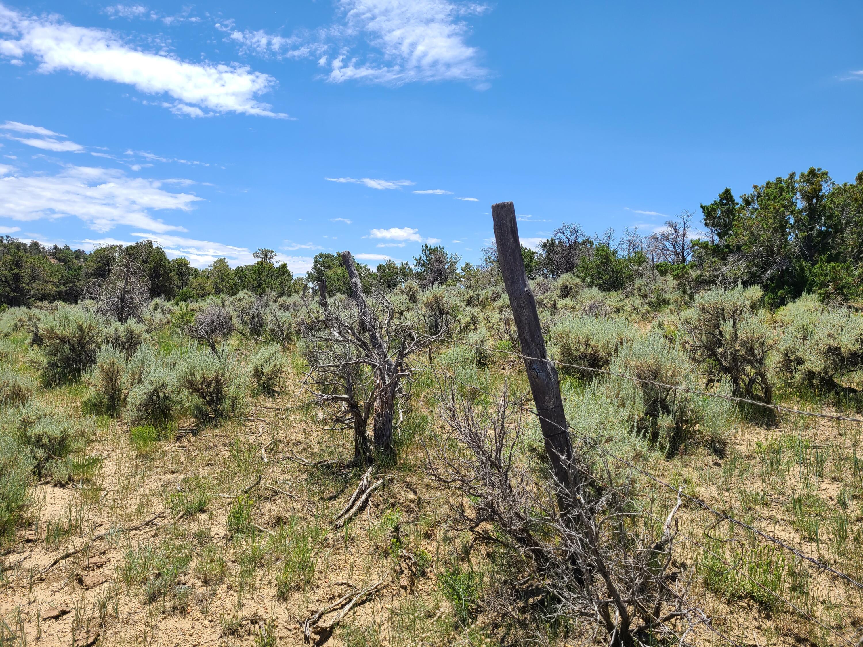 28 Arroyo Hondo Road