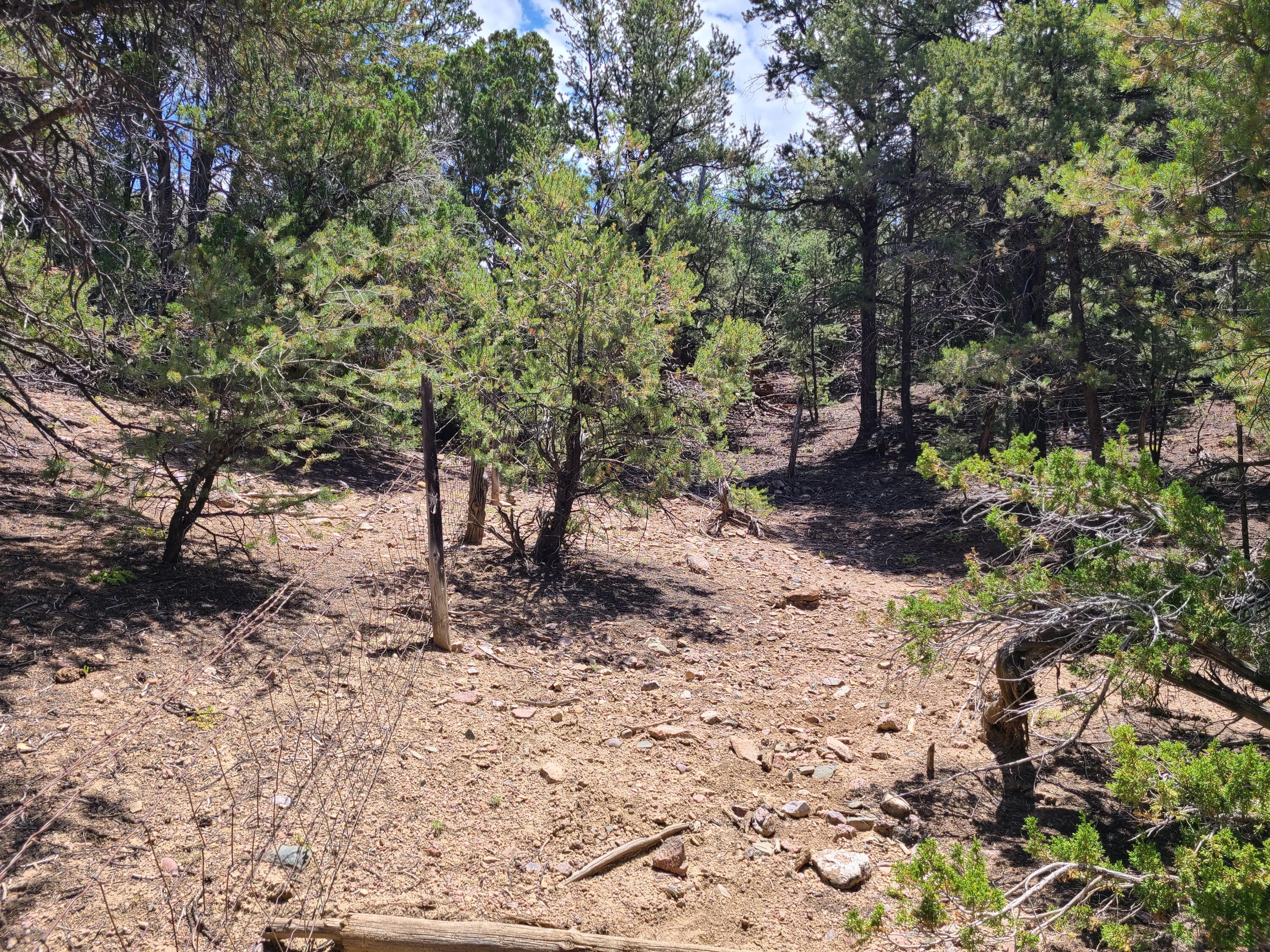 28 Arroyo Hondo Road